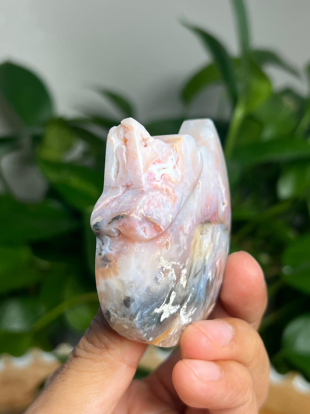 Rainbow Plume Agate Cat: FB