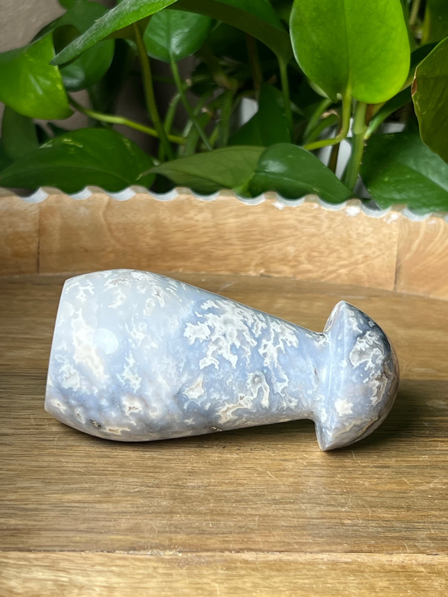Blue Plume Agate Mushroom: PL