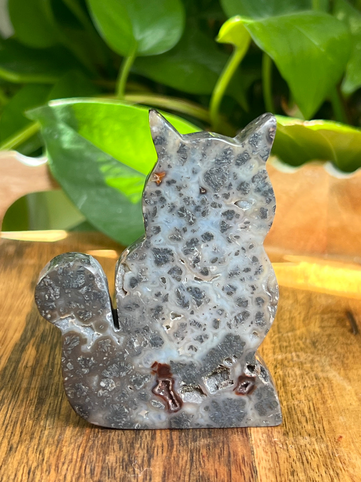 Marcasite Cat: C