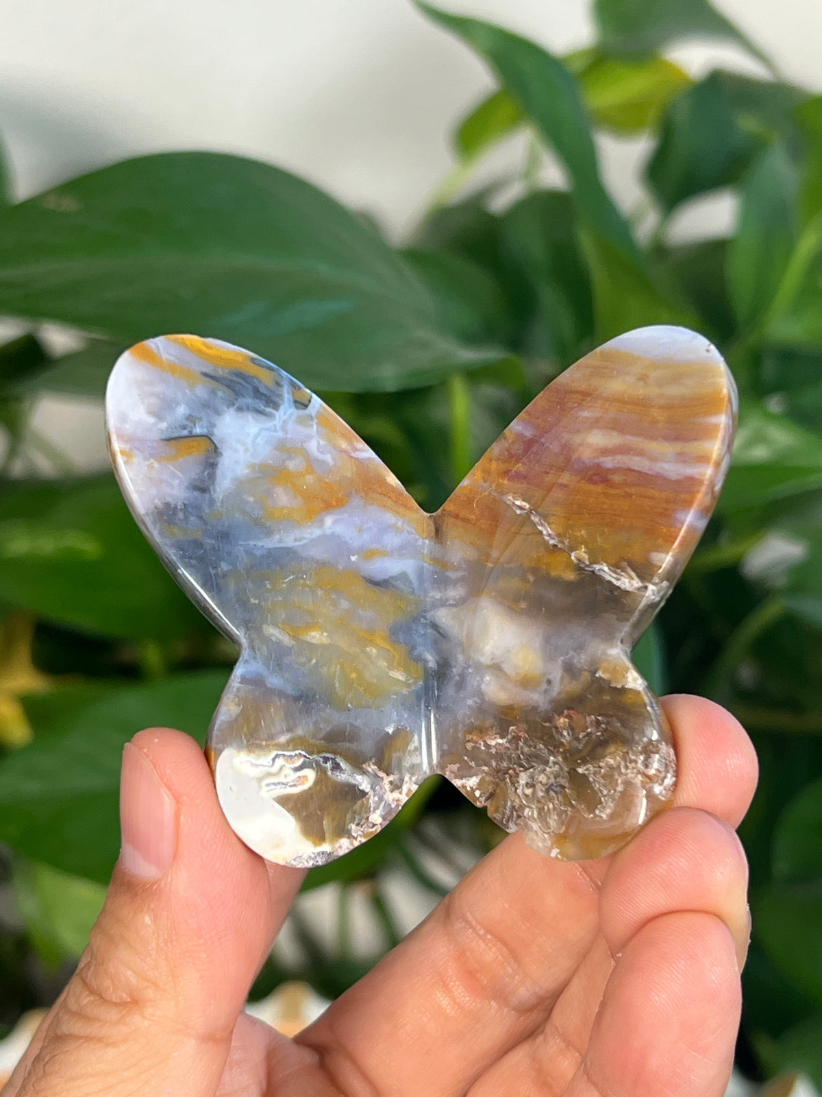 Milky River Jasper 3D Butterflies