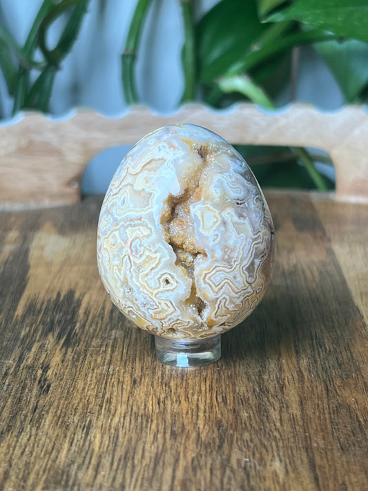 Crazy Lace Agate Egg