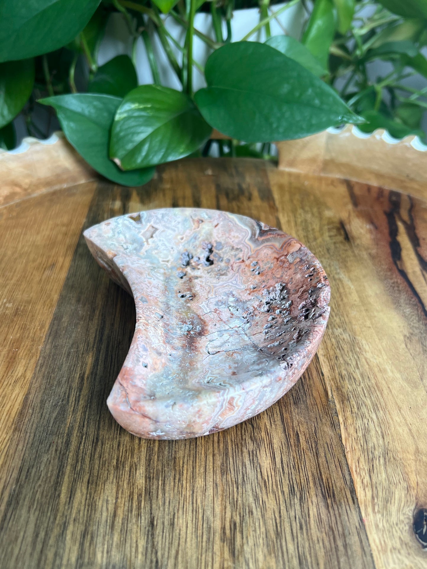 Crazy Lace Agate Moon Bowl: E