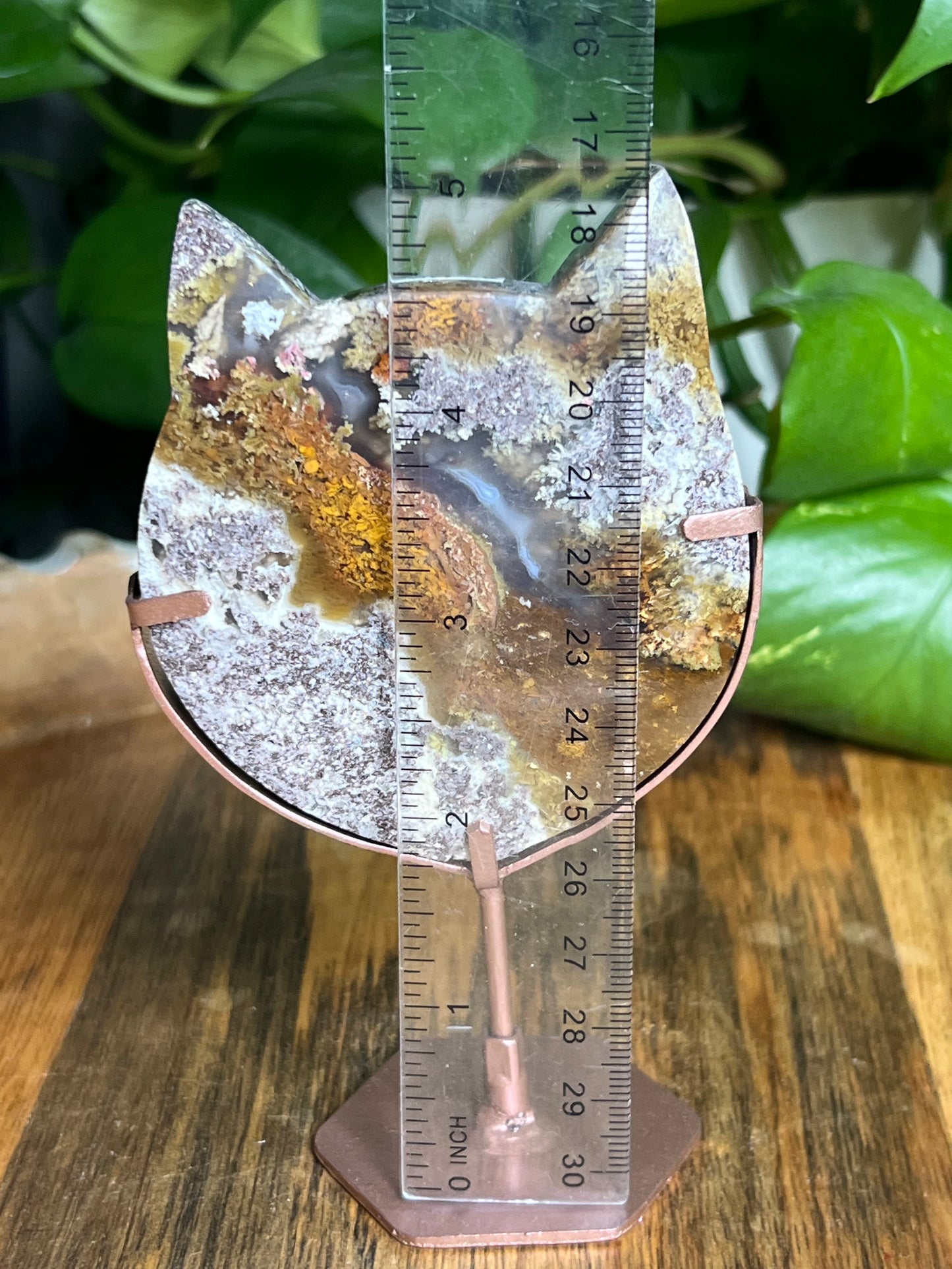 Scenic Moss Agate Cat Head