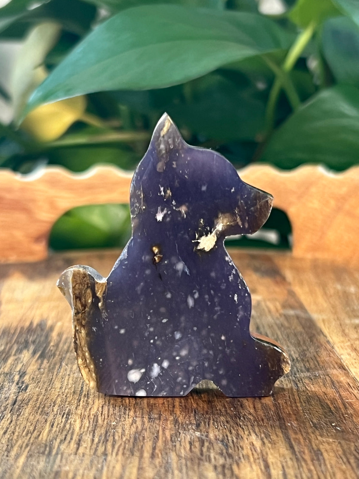 Purple Chalcedony Dogs