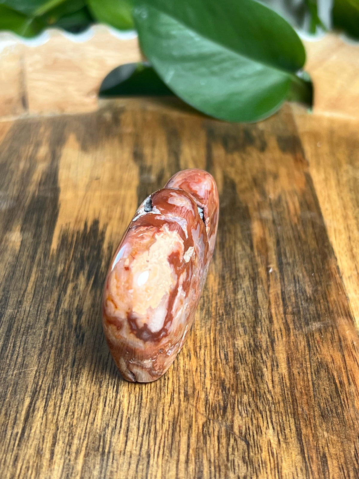Carnelian Mini Buffalo: BG