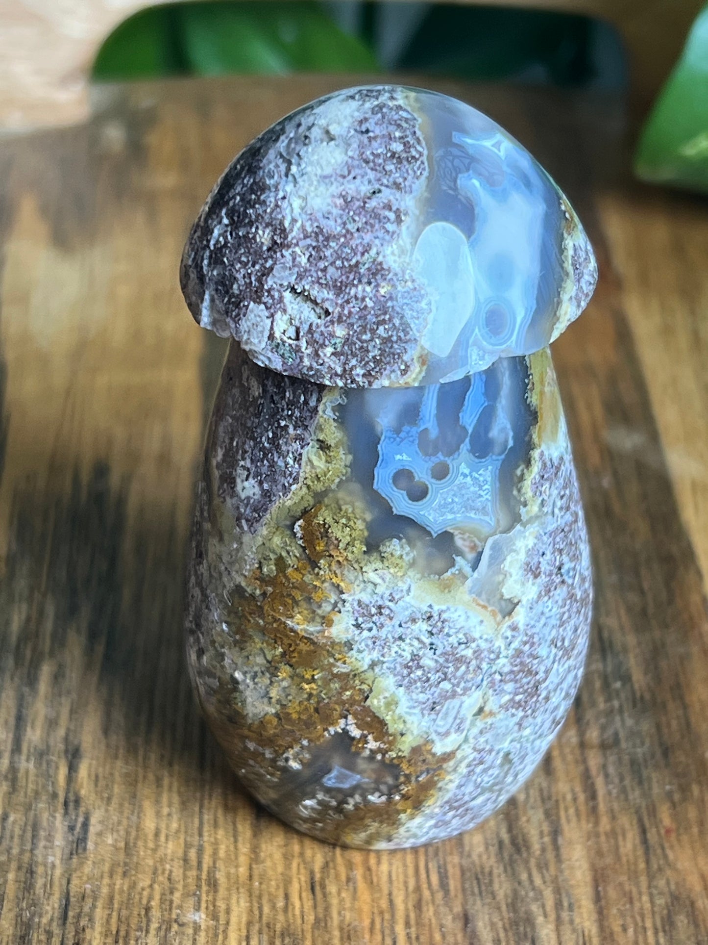 Scenic Moss Agate Mushroom