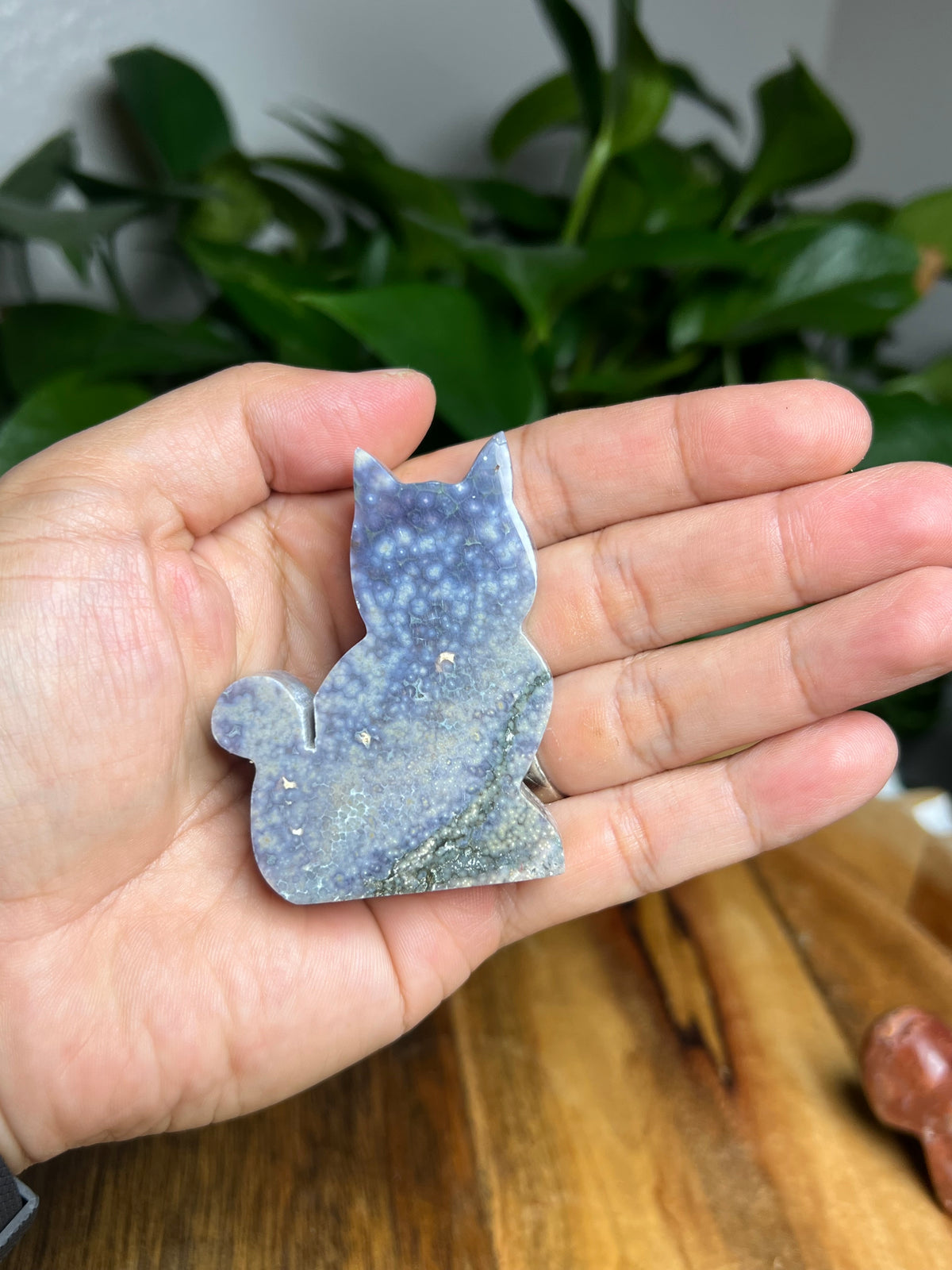 Grape Agate Mini Cat: BZ
