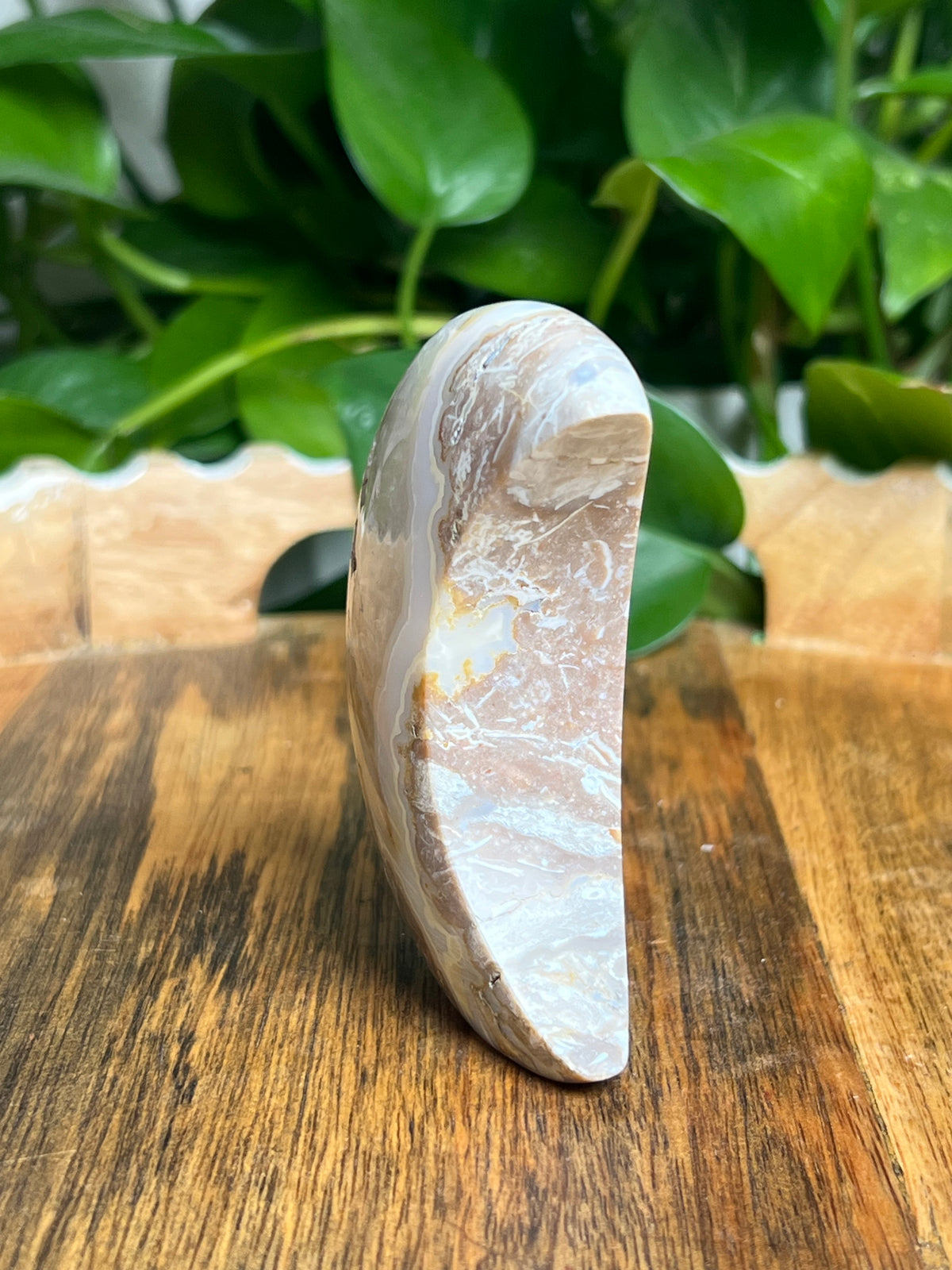 Sumatra Plume Agate Self-Standing Moon: NA
