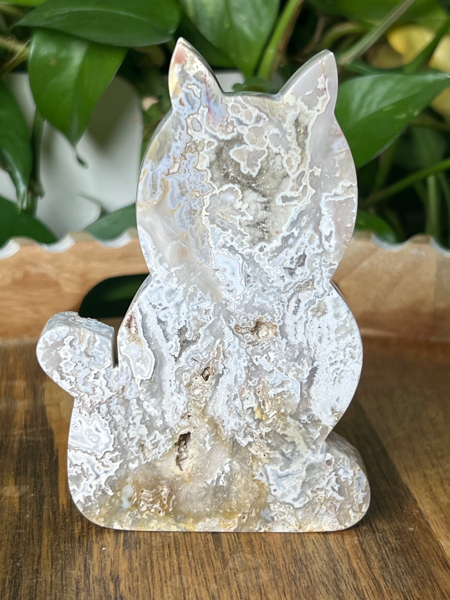 Sumatra Plume Agate Cat