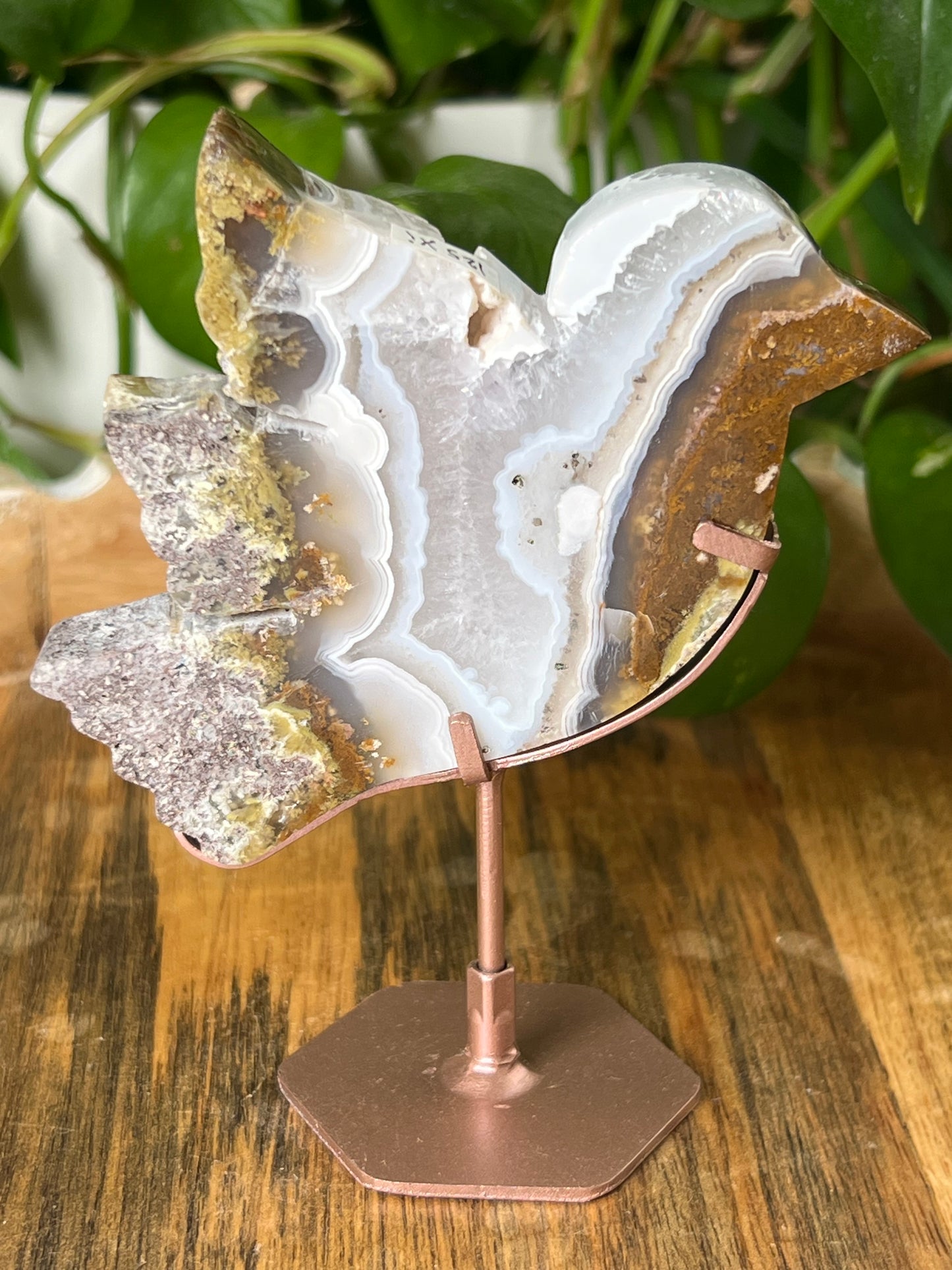 Scenic Moss Agate Bird