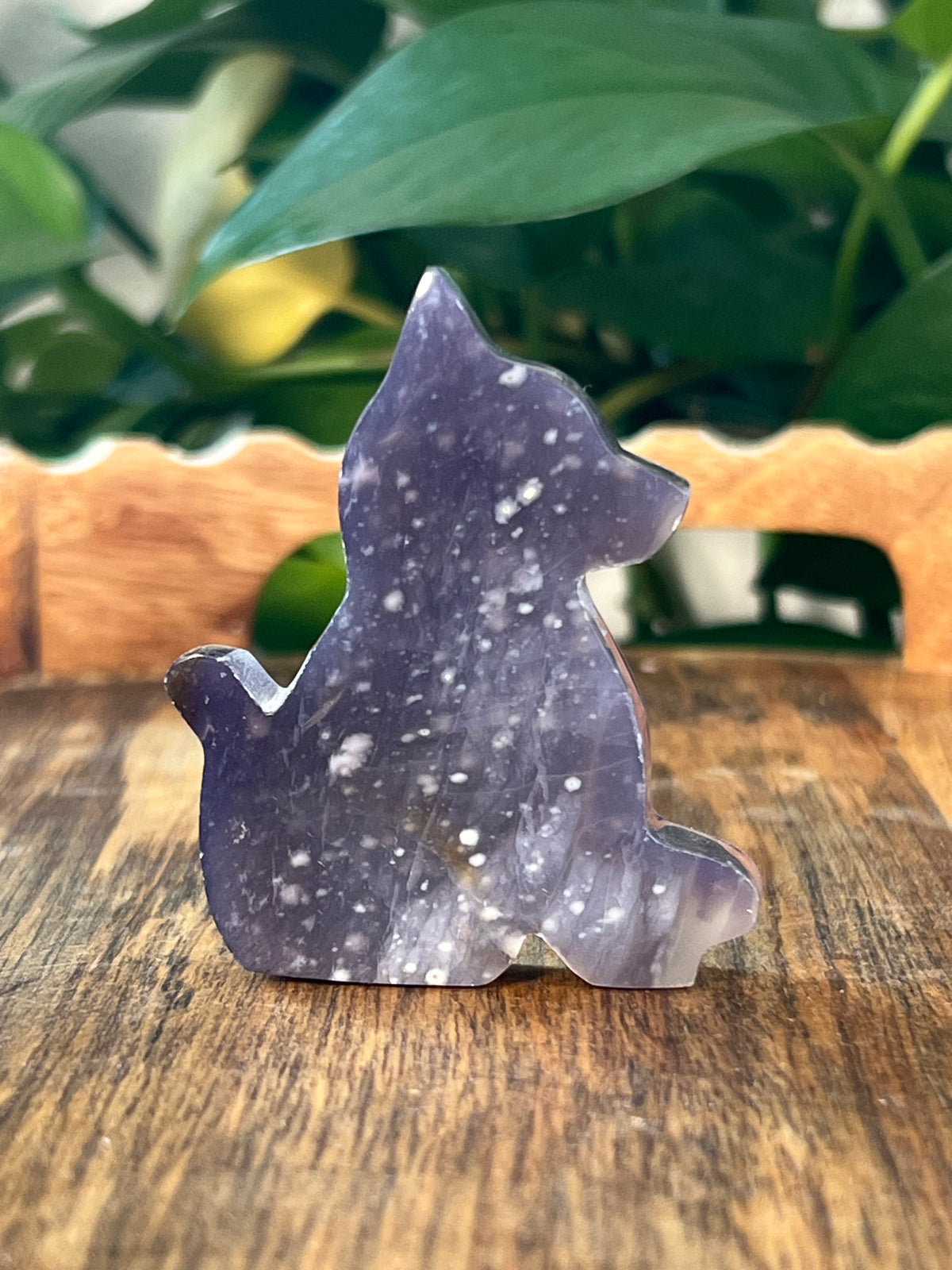 Purple Chalcedony Dogs