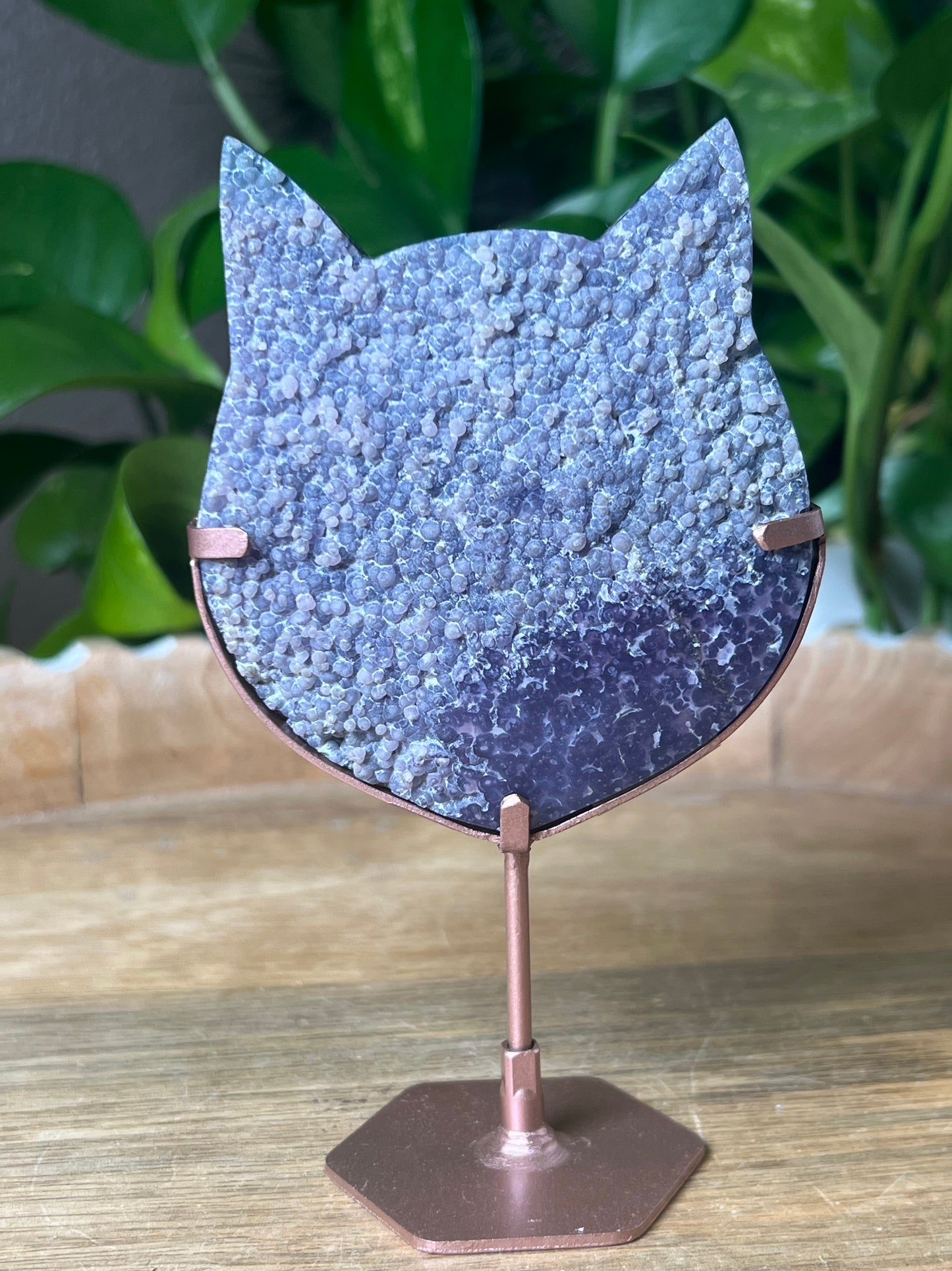 Grape Agate Cat
