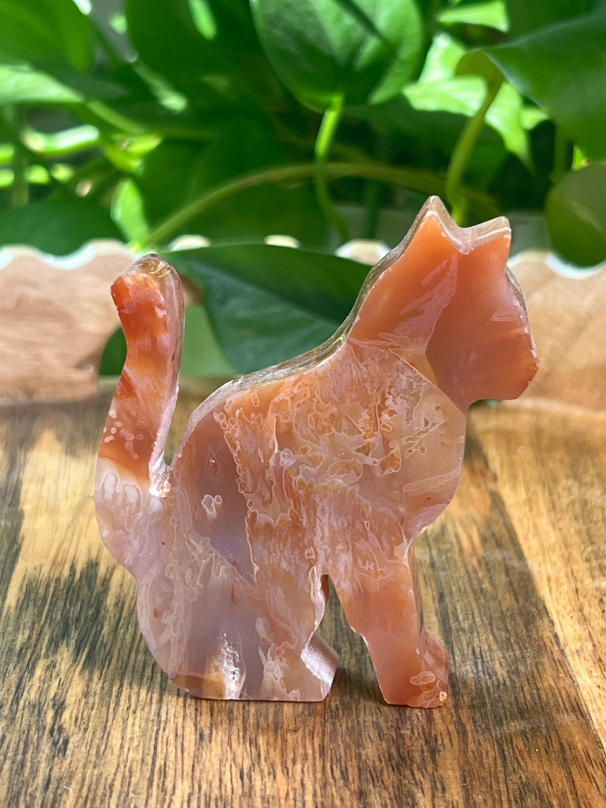 Carnelian Cat: PM