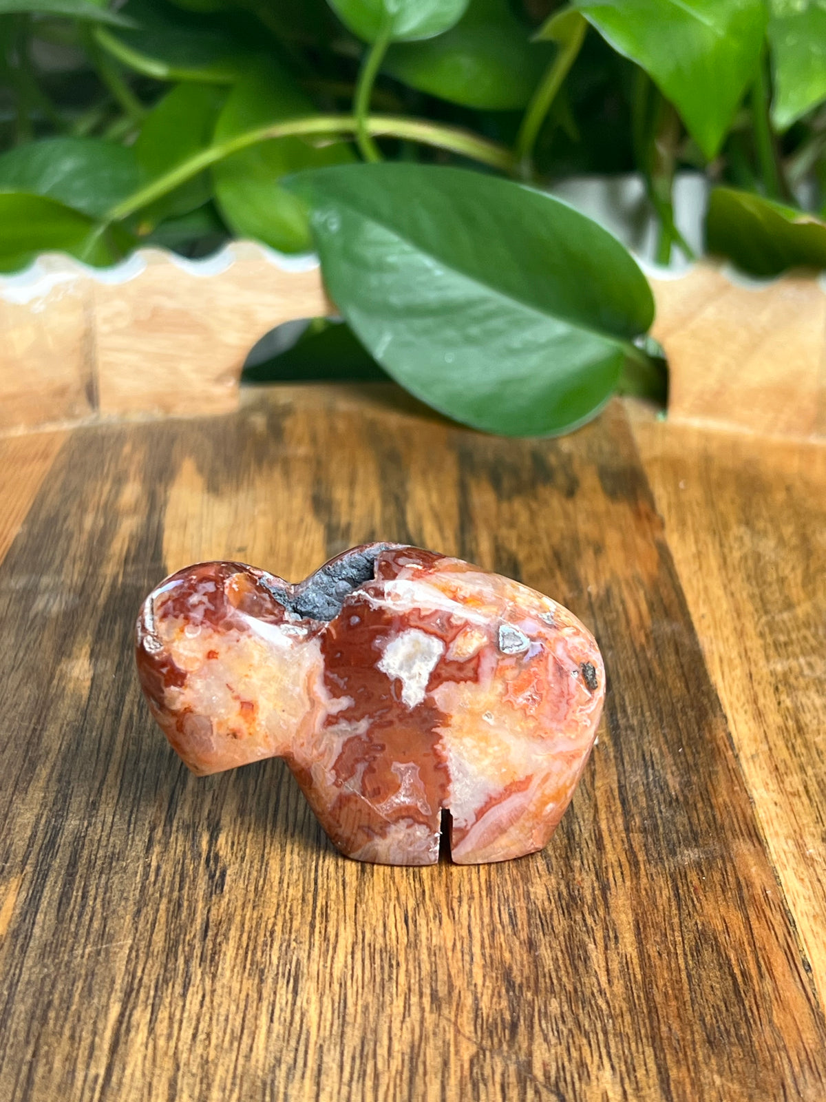 Carnelian Mini Buffalo: BH