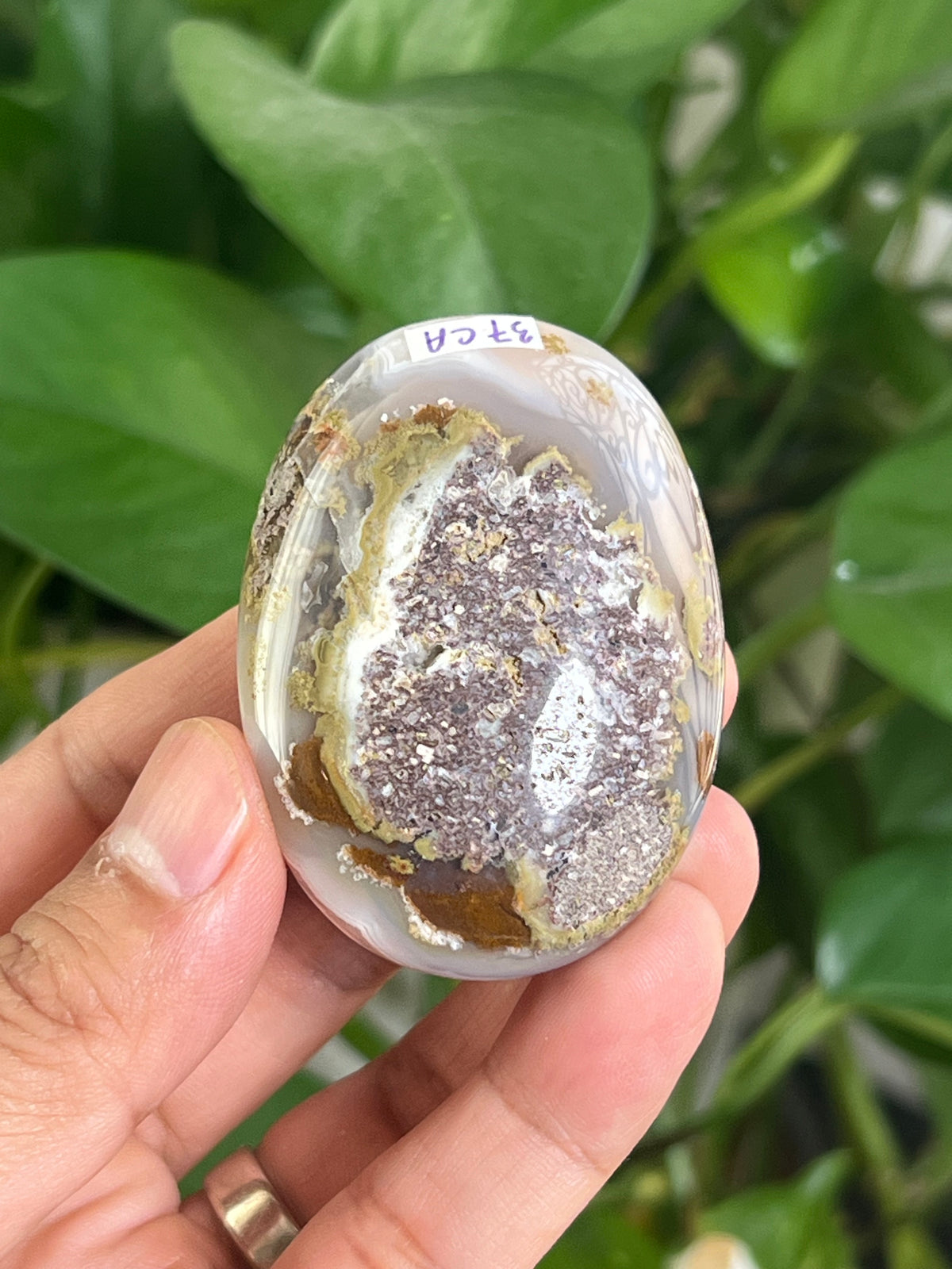 Scenic Moss Agate Palmstone: CA