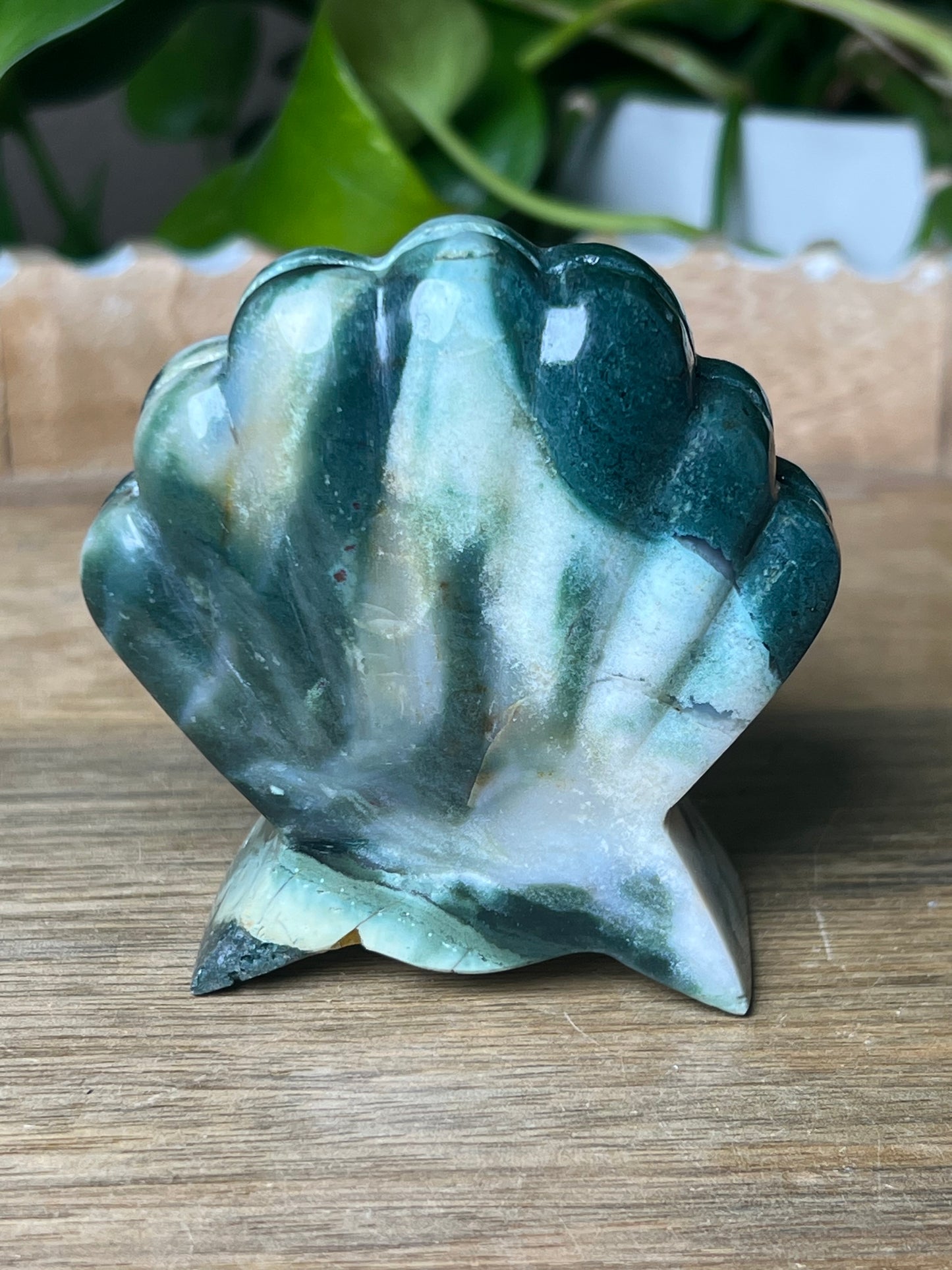 Blue Green Jasper Shell