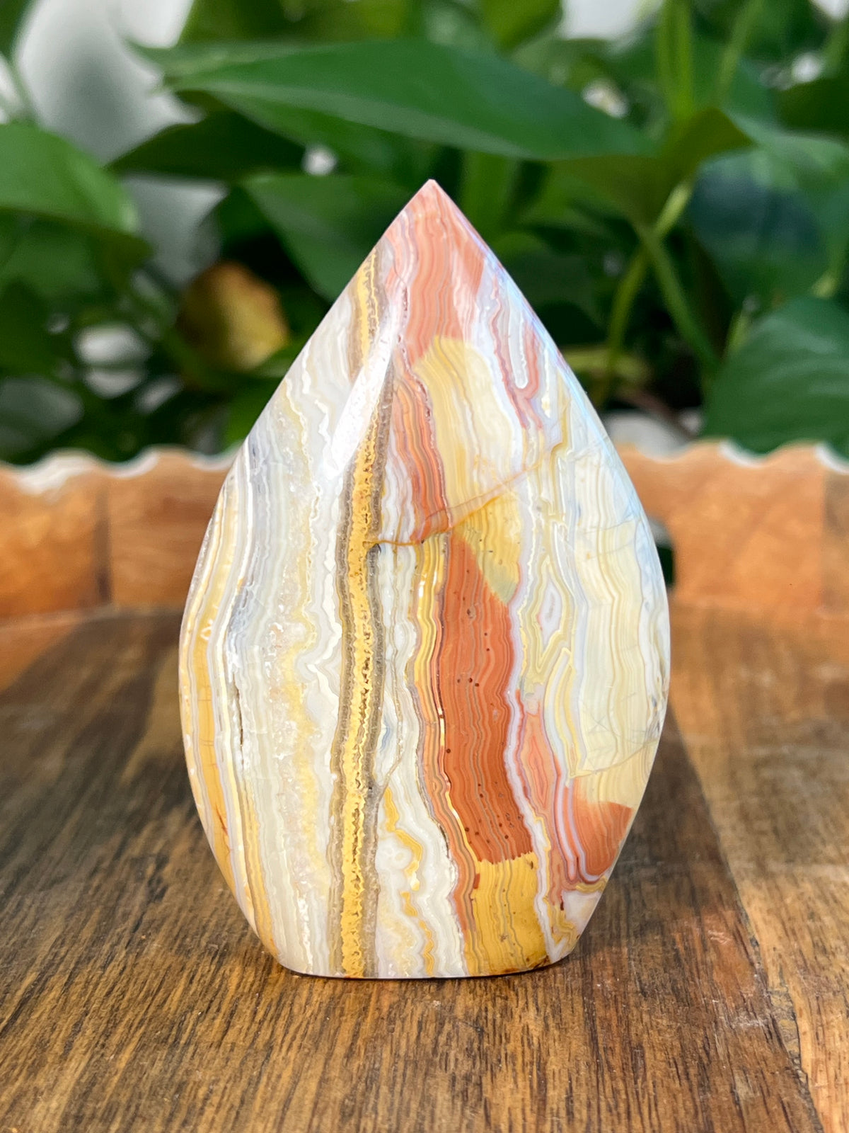 Crazy Lace Agate Flames