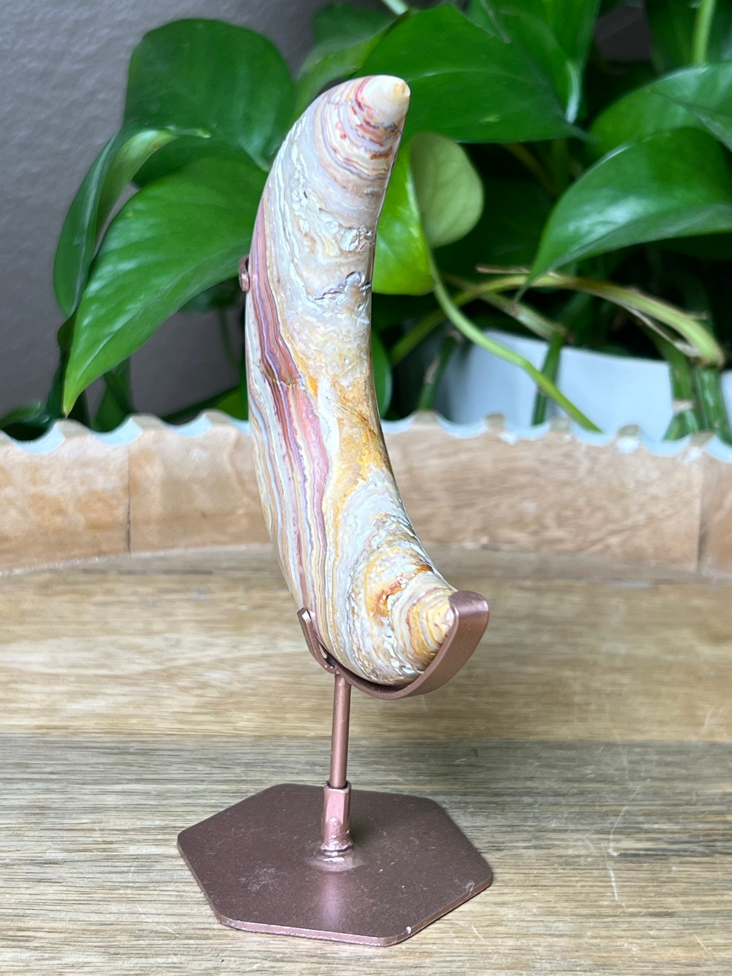 Crazy Lace Agate Moon