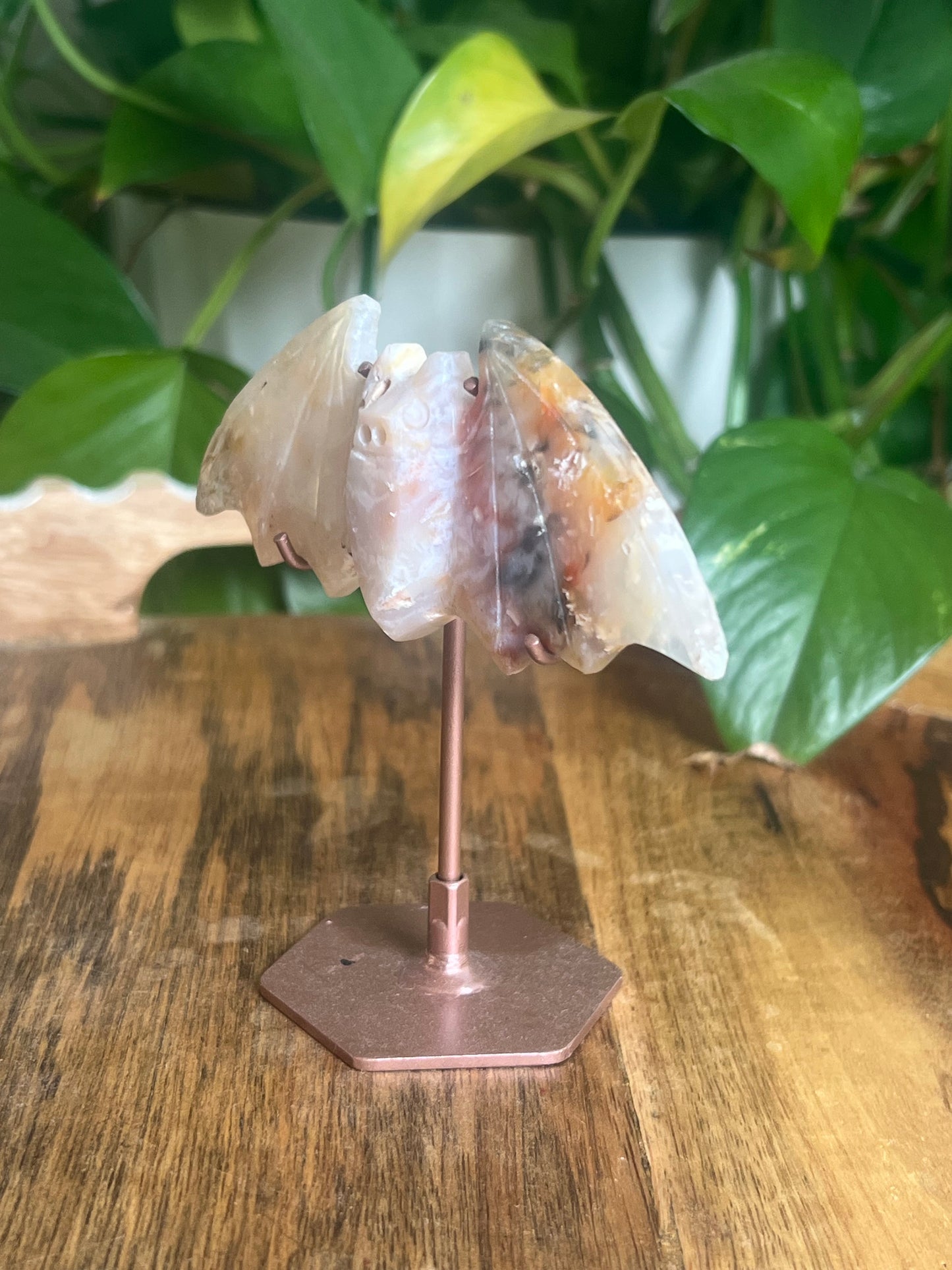 Rainbow Plume Agate Bat C