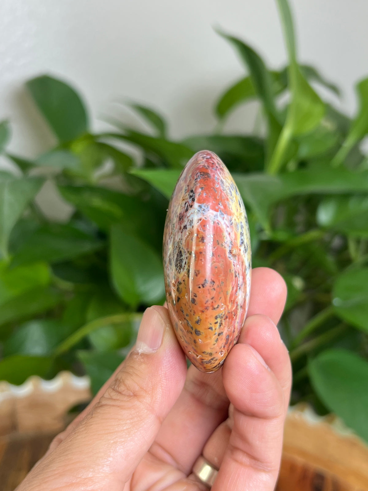 Marcasite Palmstone: MS