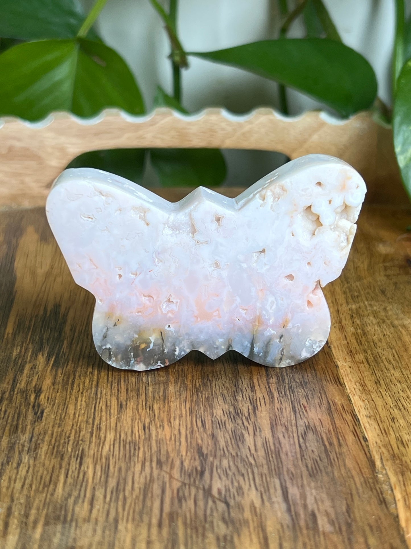 Rainbow Plume Agate Butterfly RR