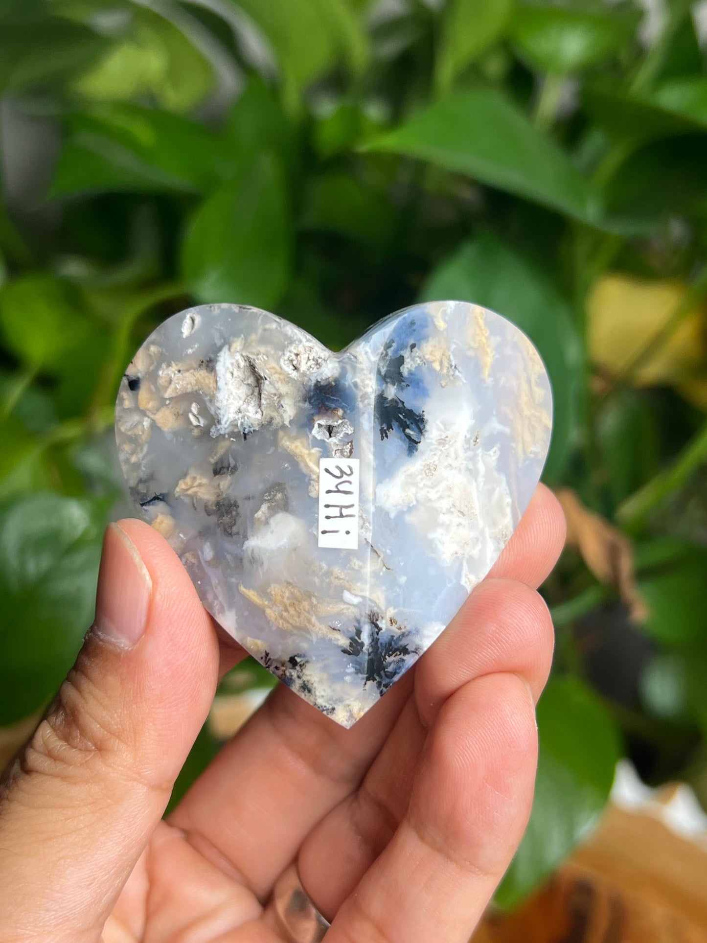 Dendritic Tiger Agate 3D Butterfly Hi