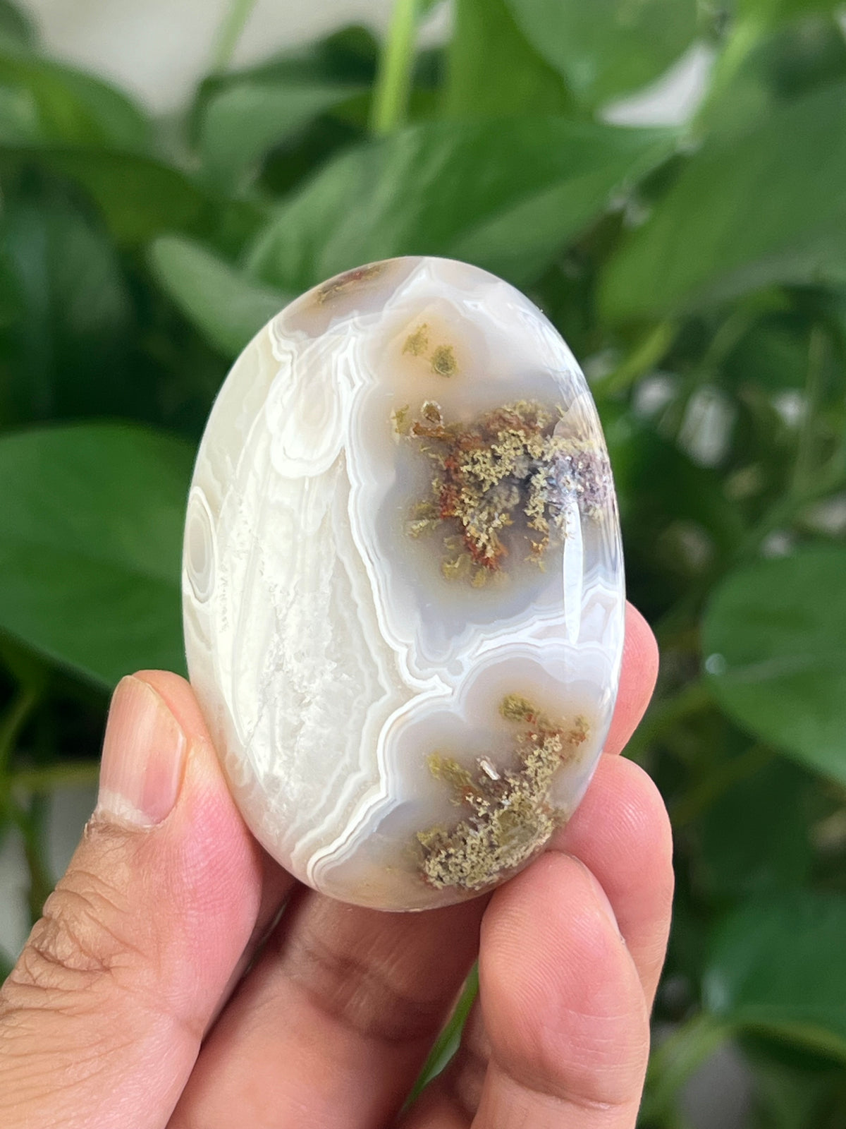 Scenic Moss Agate Palmstone: RG
