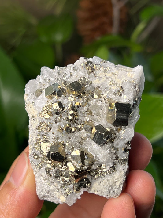 Rainbow Pyrite Quartz