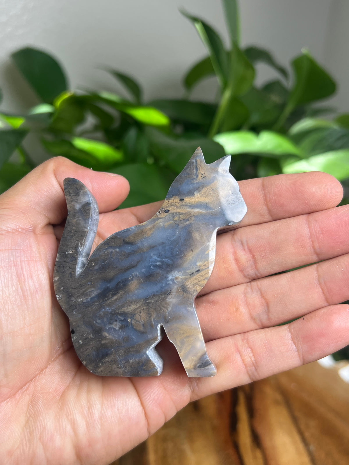 Dendritic Tiger Agate Cat: BE