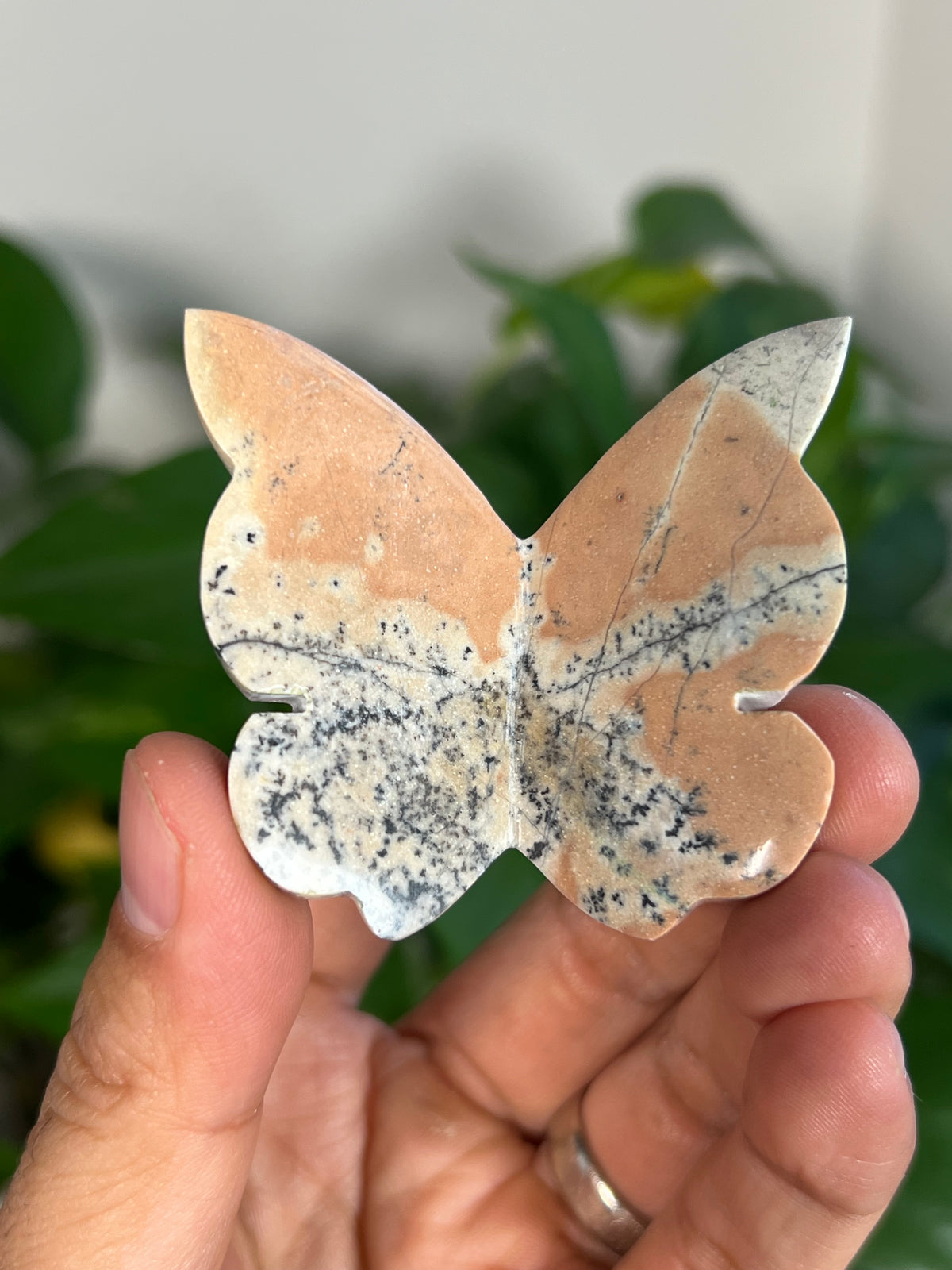 Peachy Pink Dendritic Jasper 3D Butterflies
