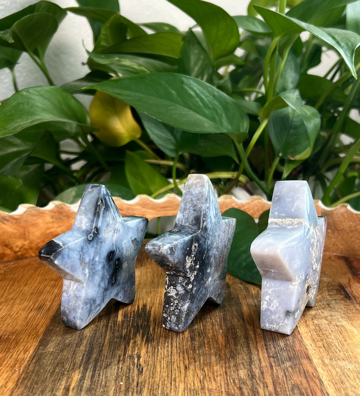 Blue Plume Agate Stars