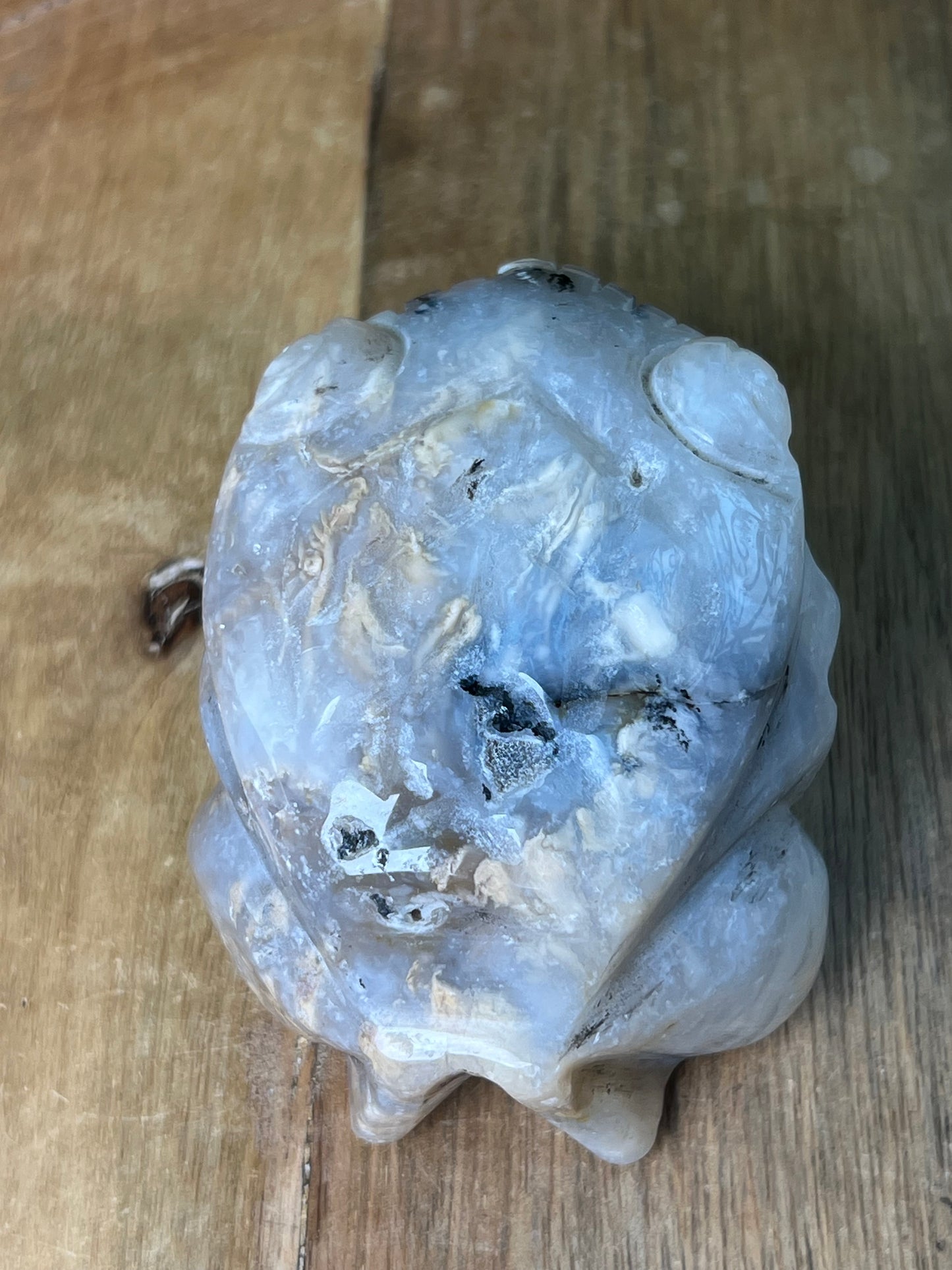 Dendritic Tiger Agate Frog
