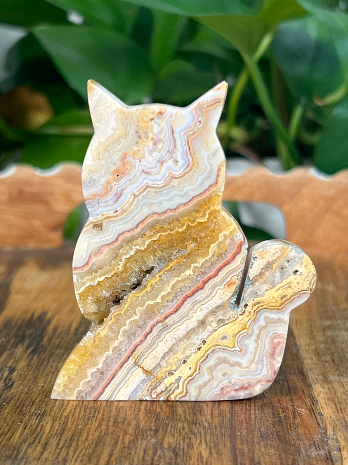 Crazy Lace Agate Small Cats