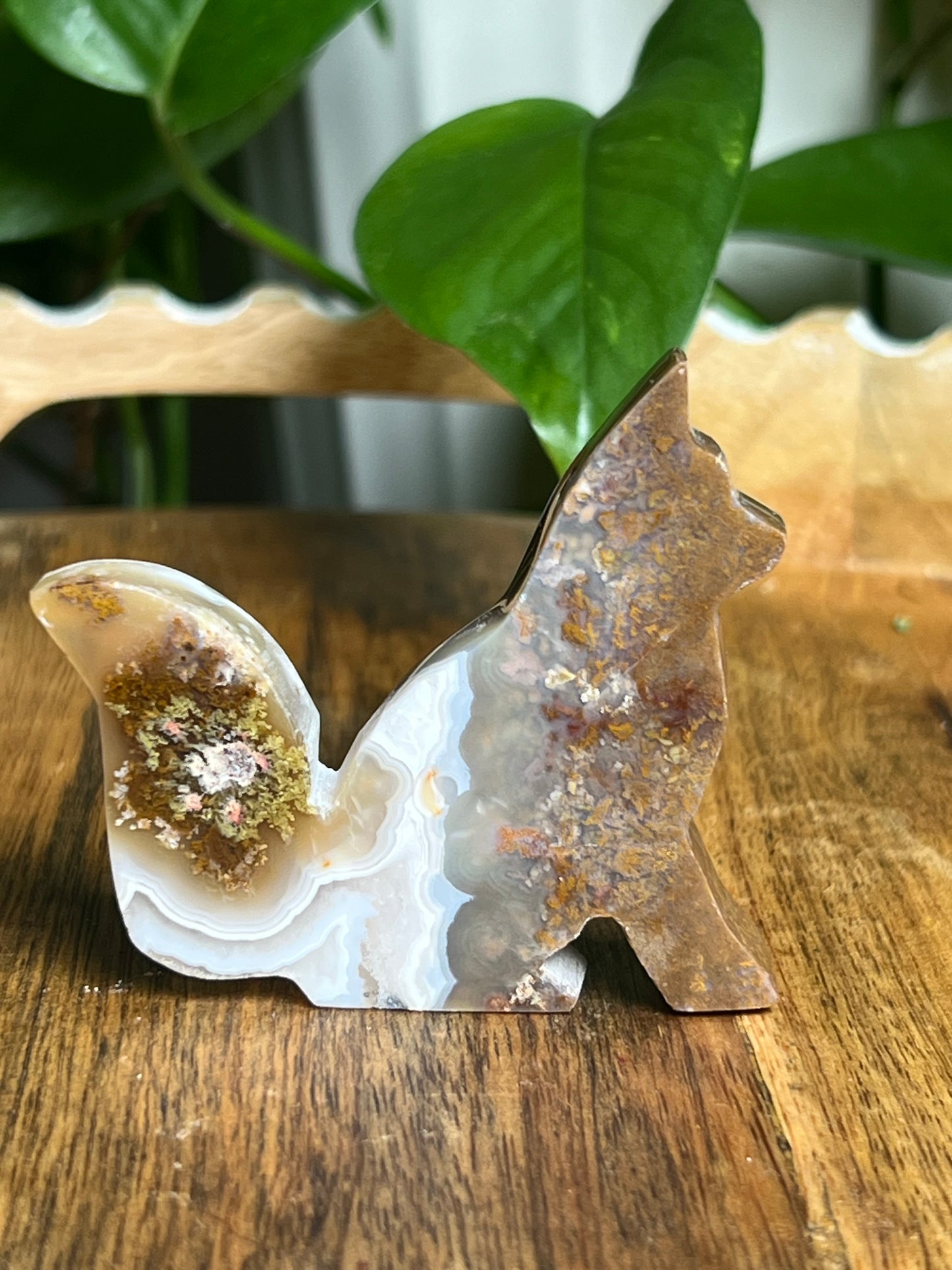 Scenic Moss Agate Fox Pi