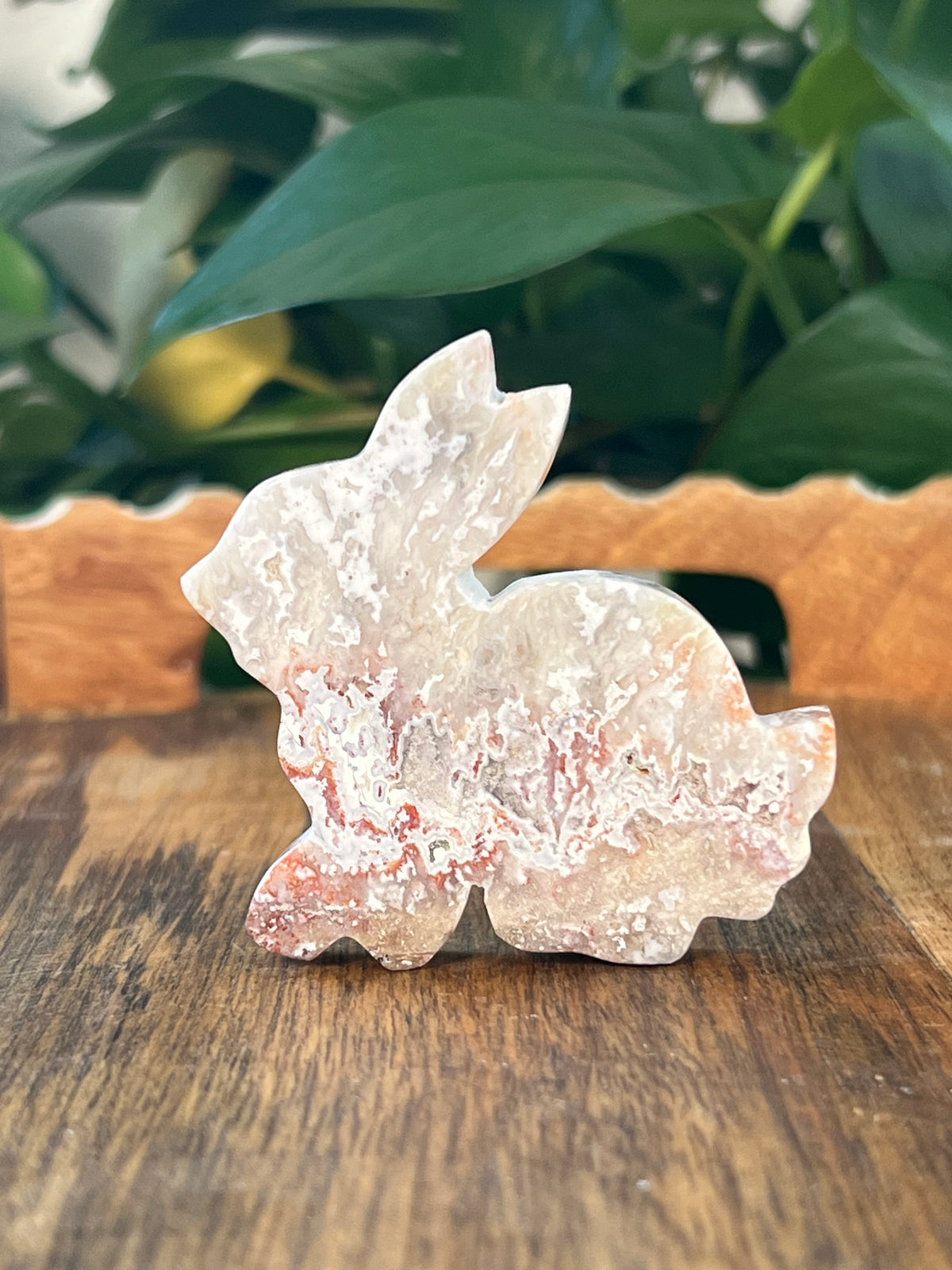 Sumatra Plume Agate Bunnies