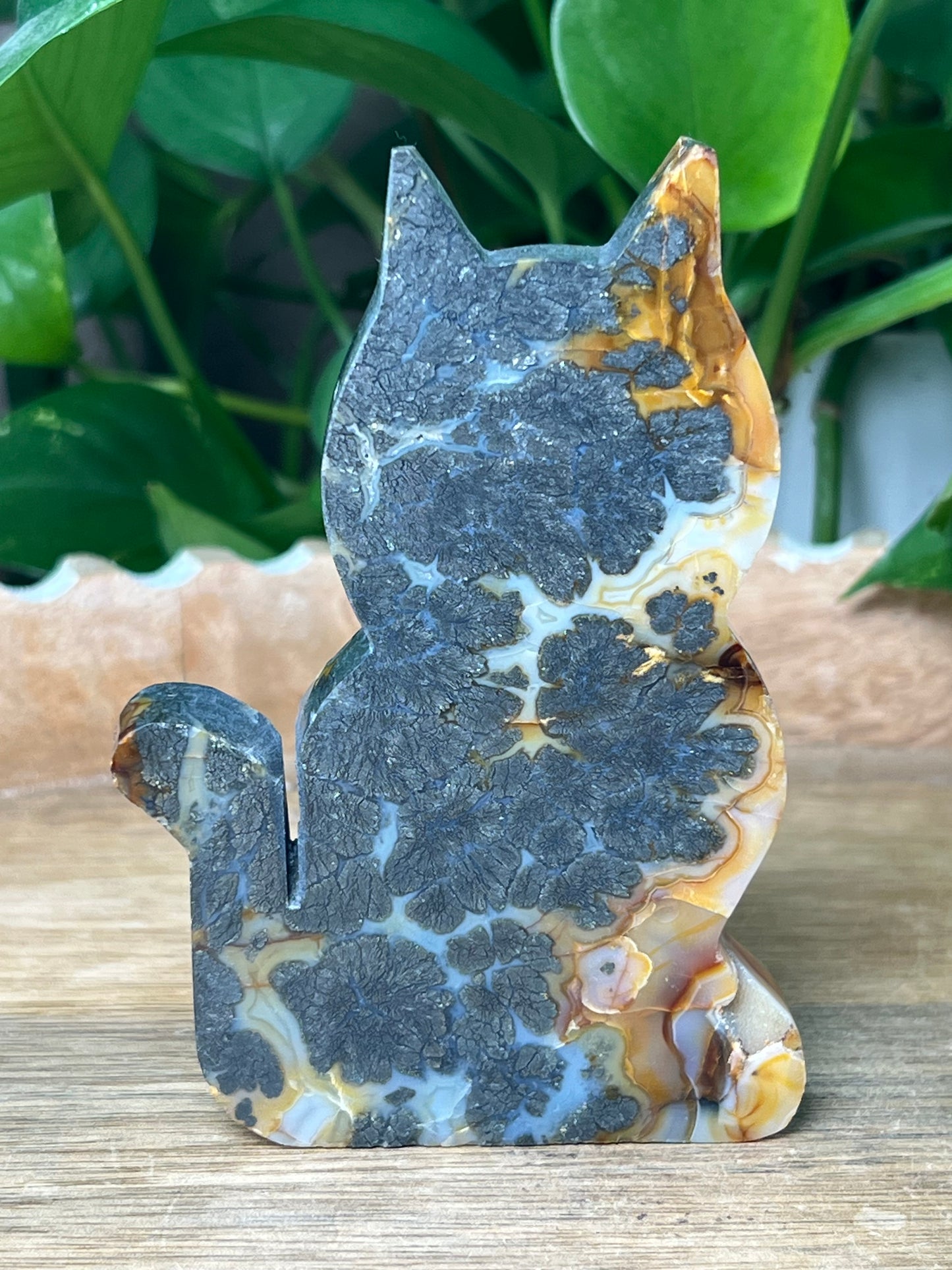Marcasite Cat