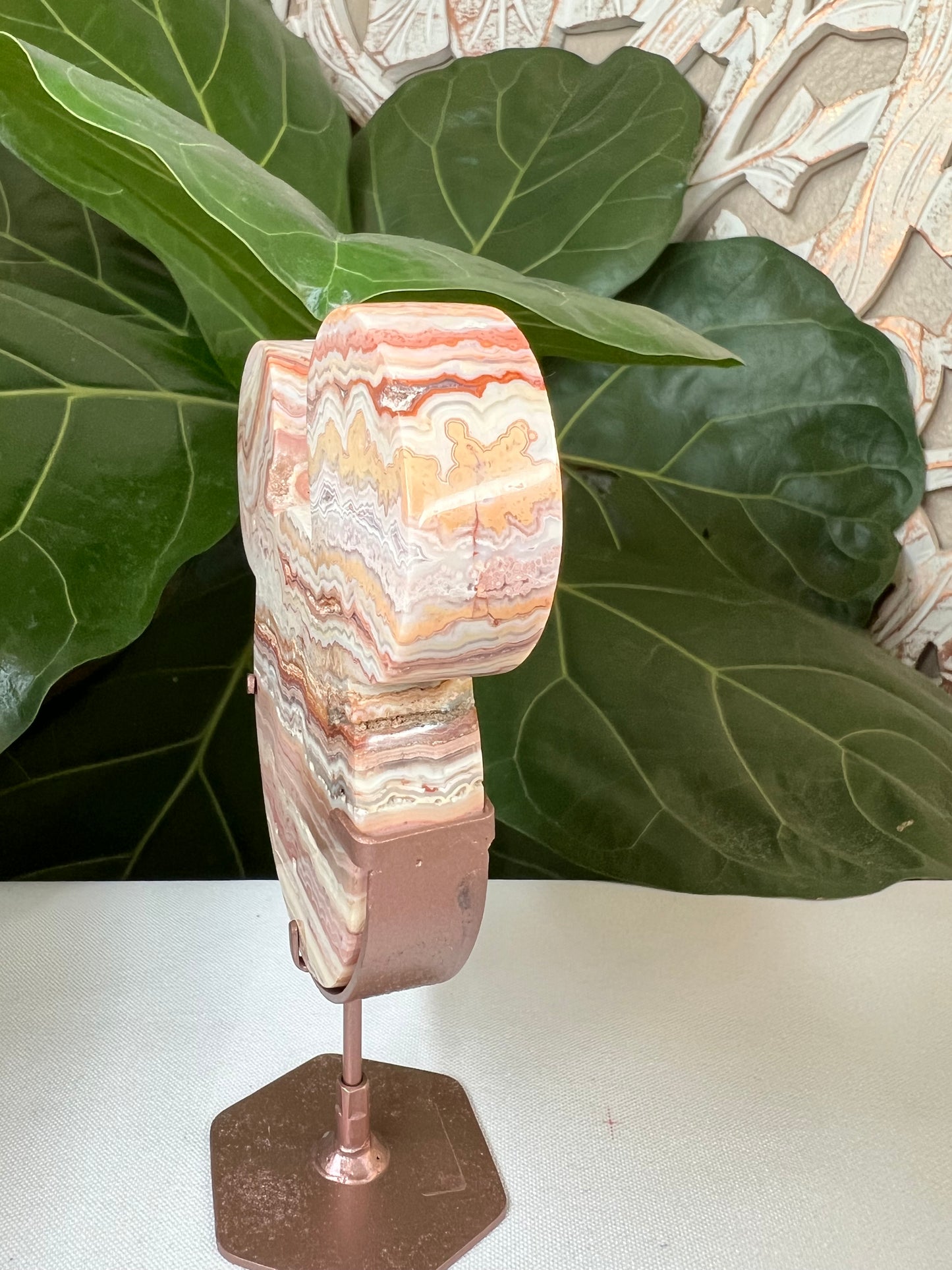 Crazy Lace Agate Bear Head
