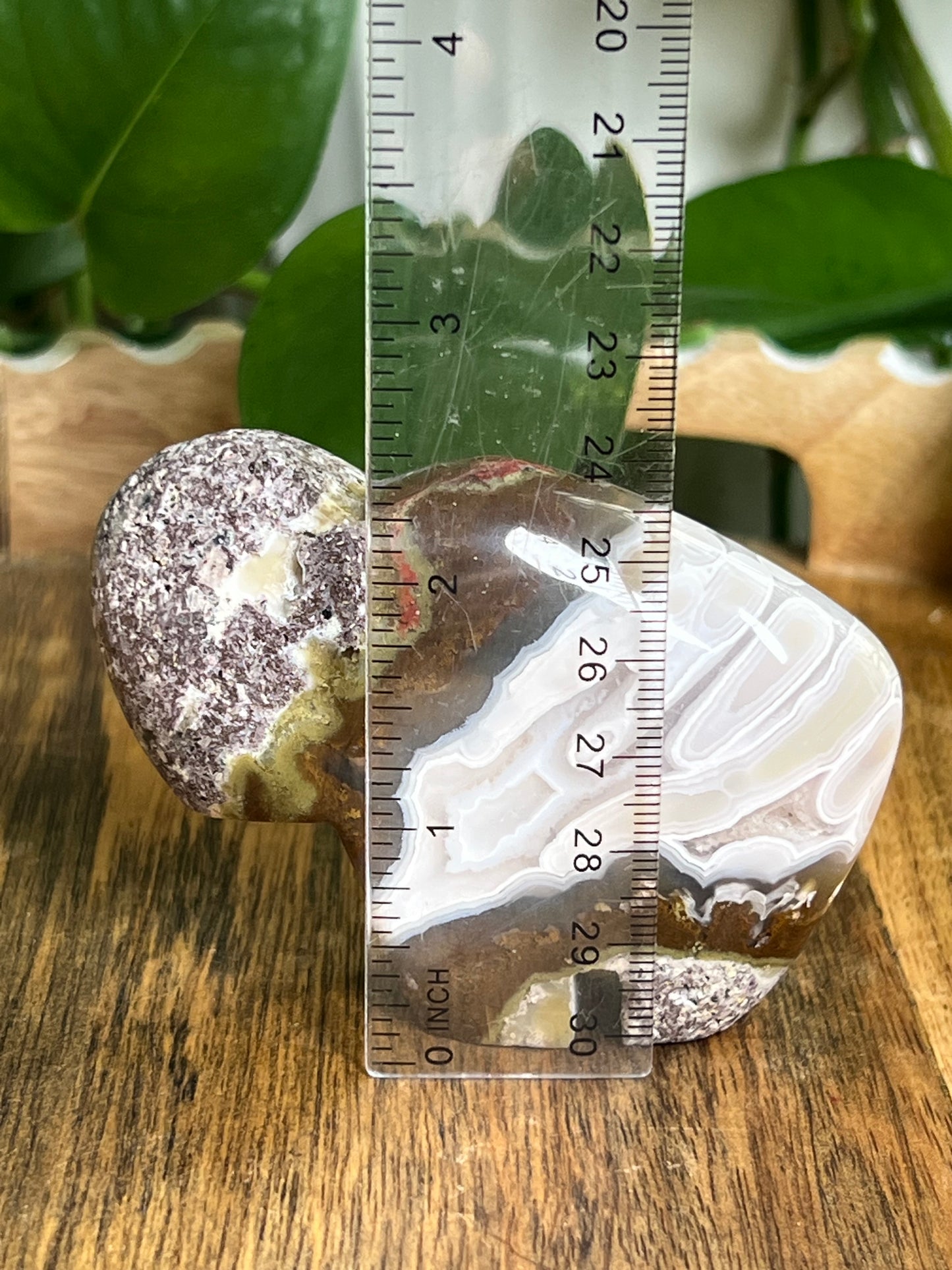 Scenic Moss Agate Buffalo N