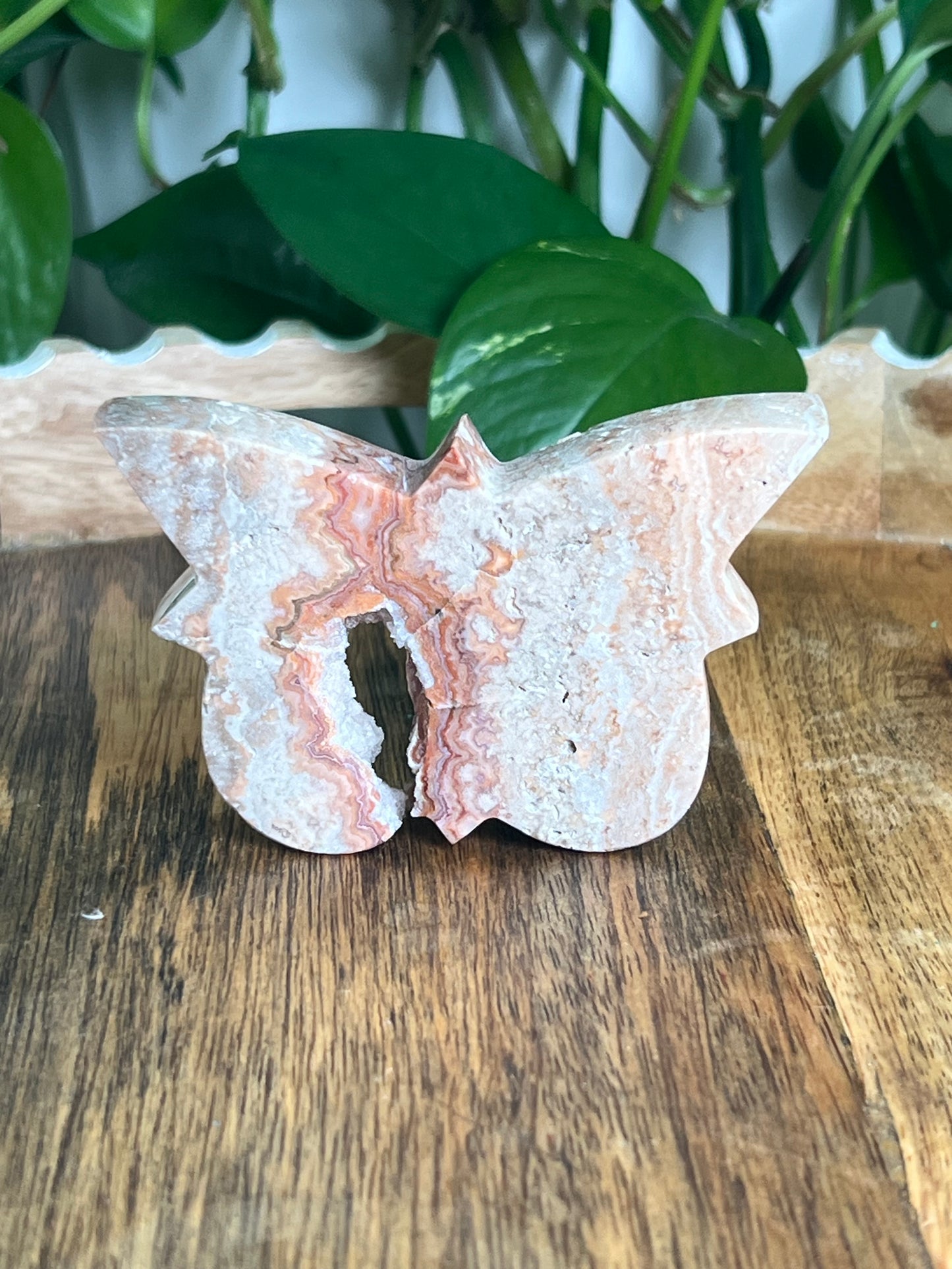 Crazy Lace Agate Butterfly: B