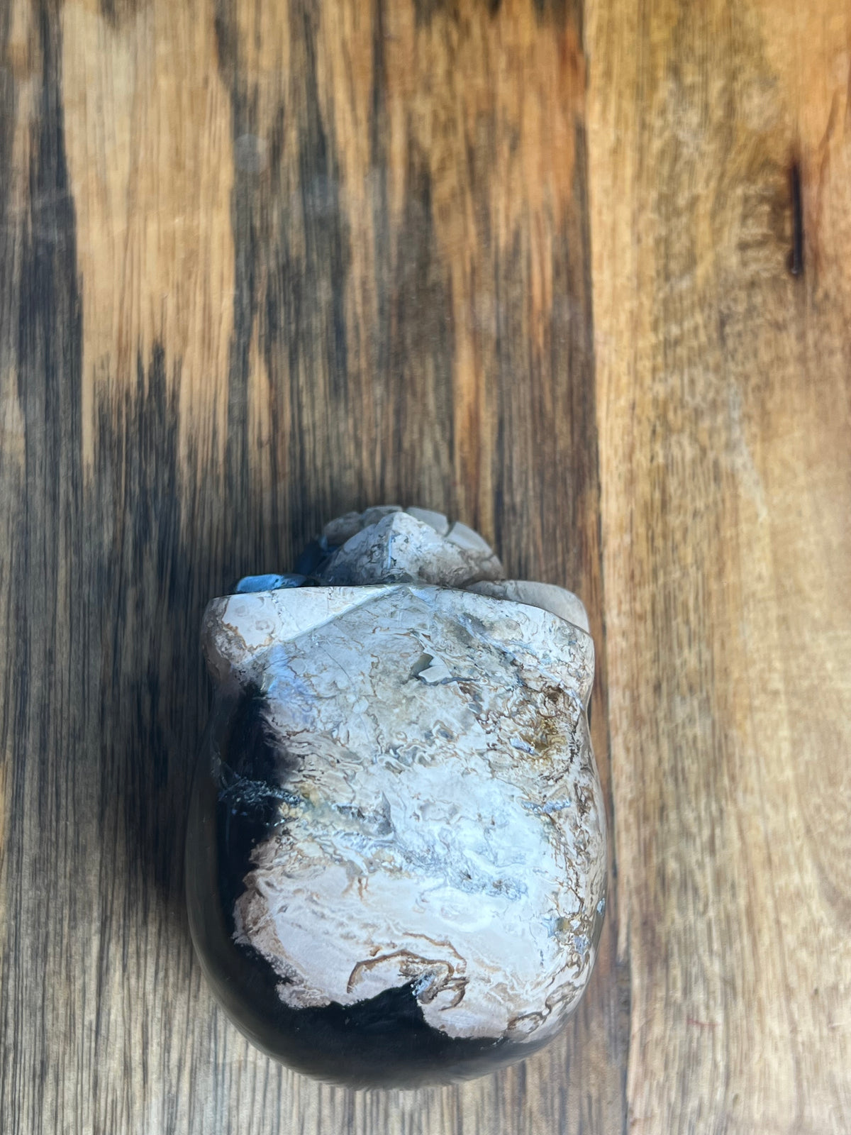 Palm Root Skull: ZL