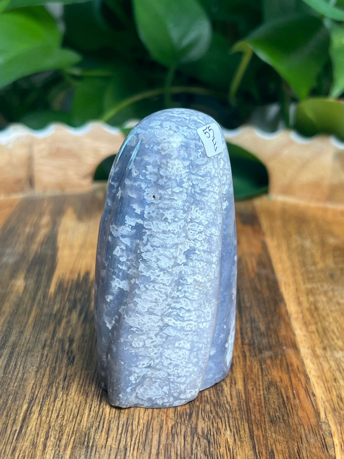 Blue Plume Agate Ghost: E