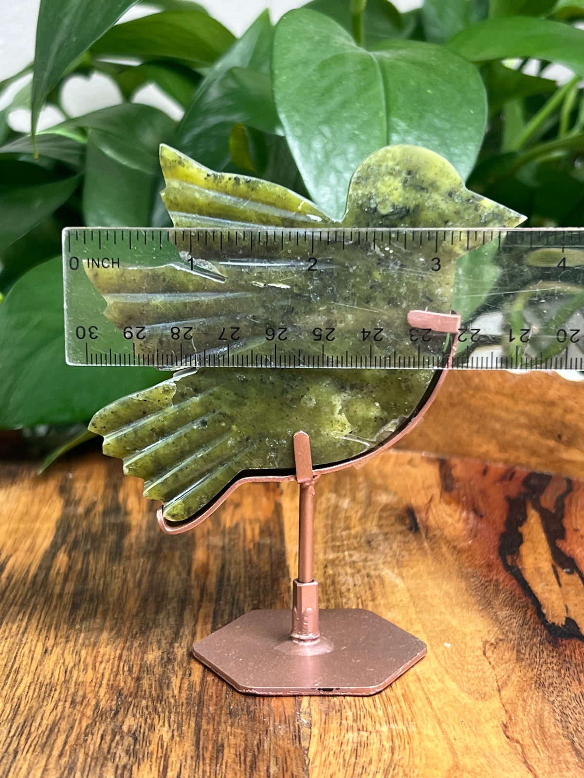 Idocrase Bird: ZC