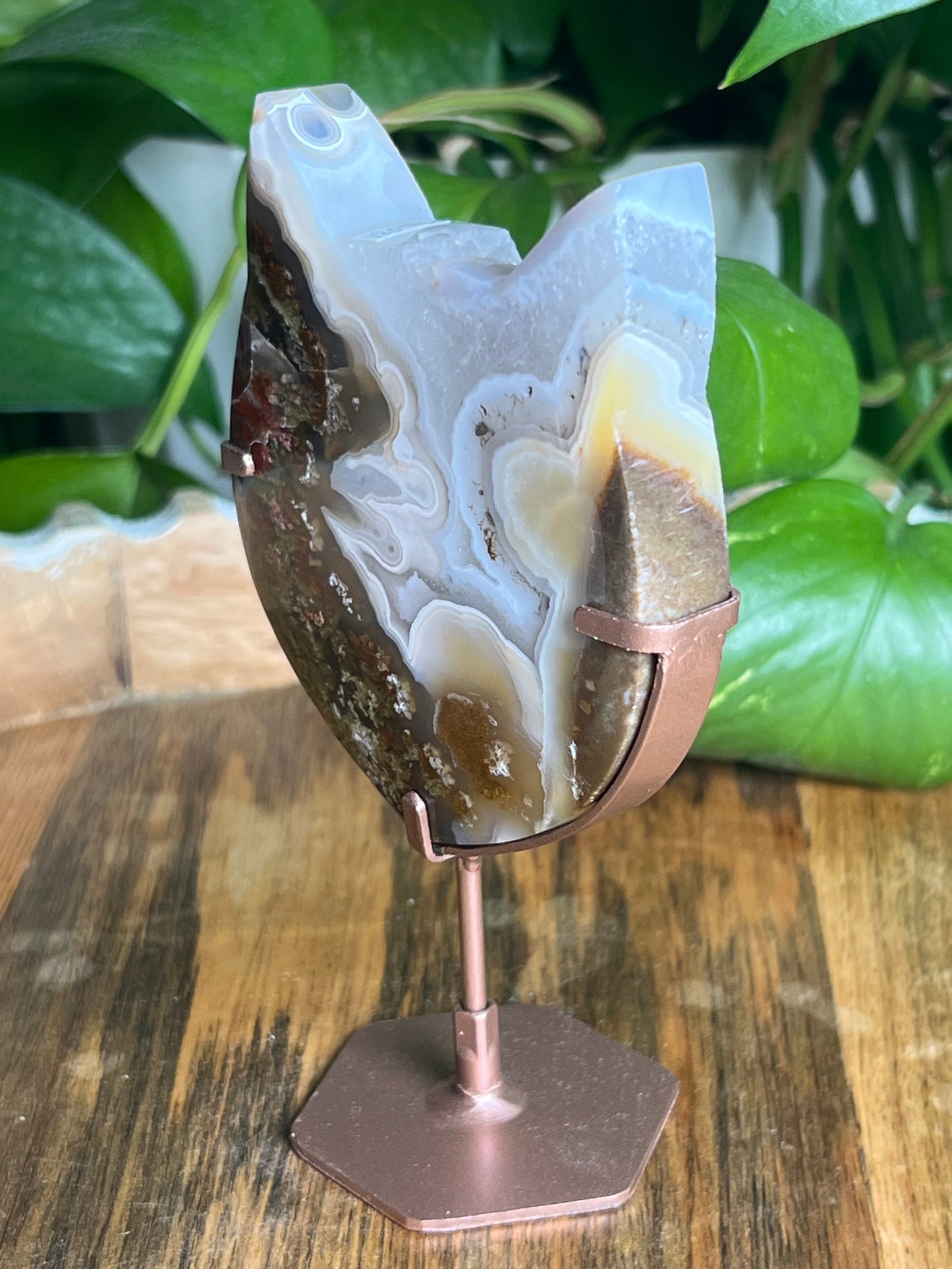 Scenic Moss Agate Cat Head