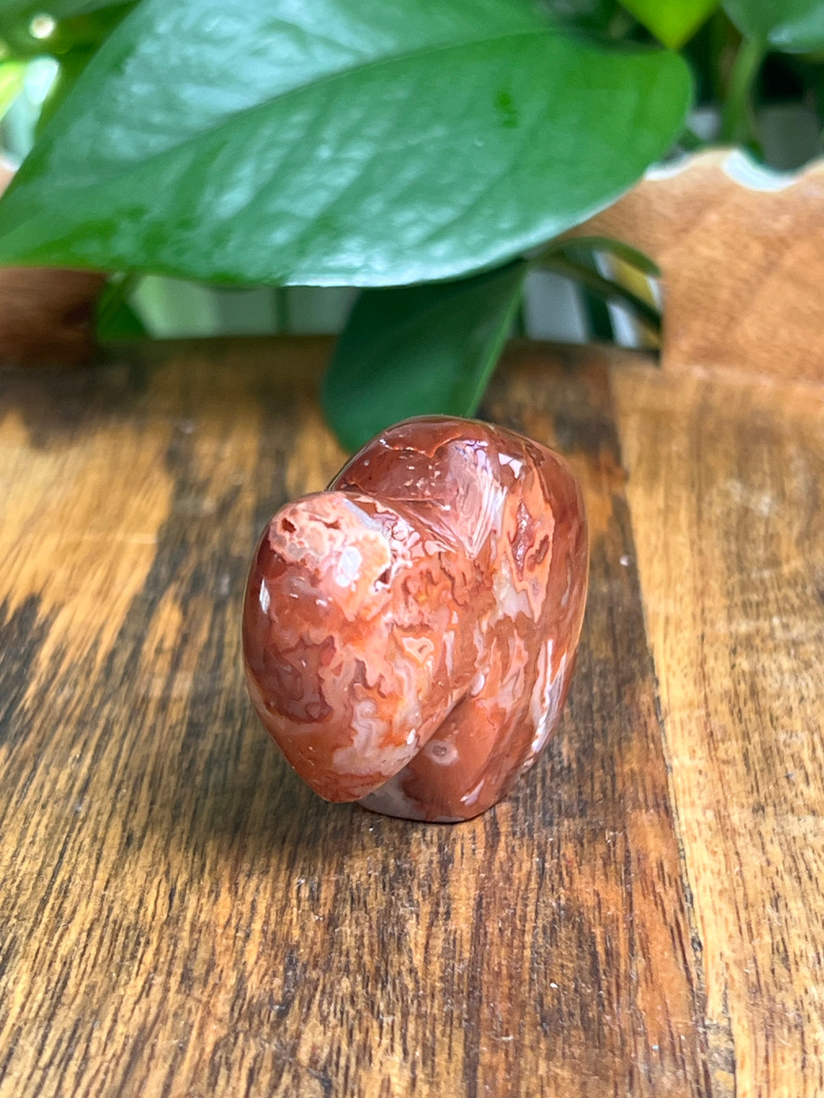 Carnelian Mini Buffalo: FK