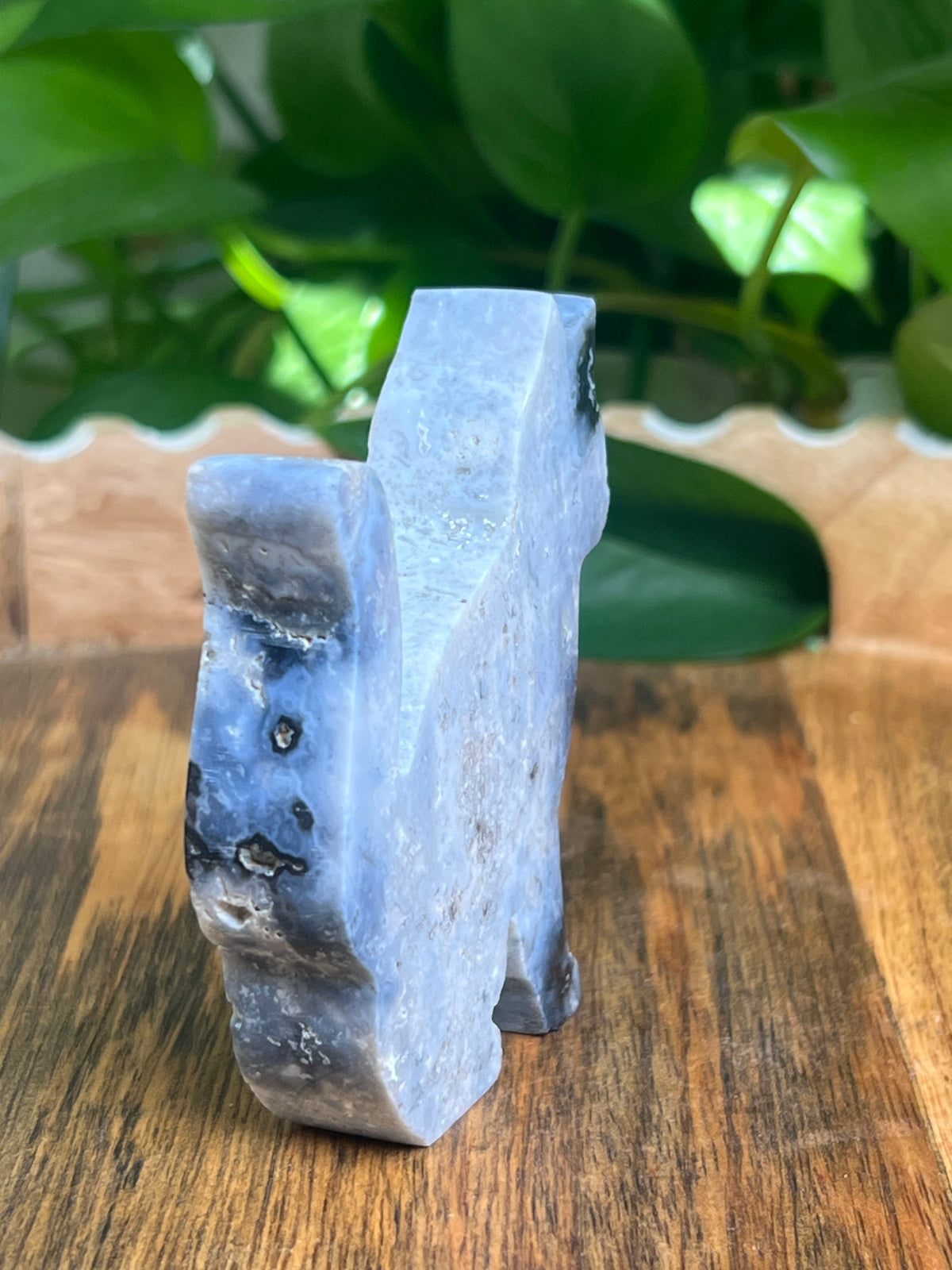 Blue Plume Agate Cat: AE