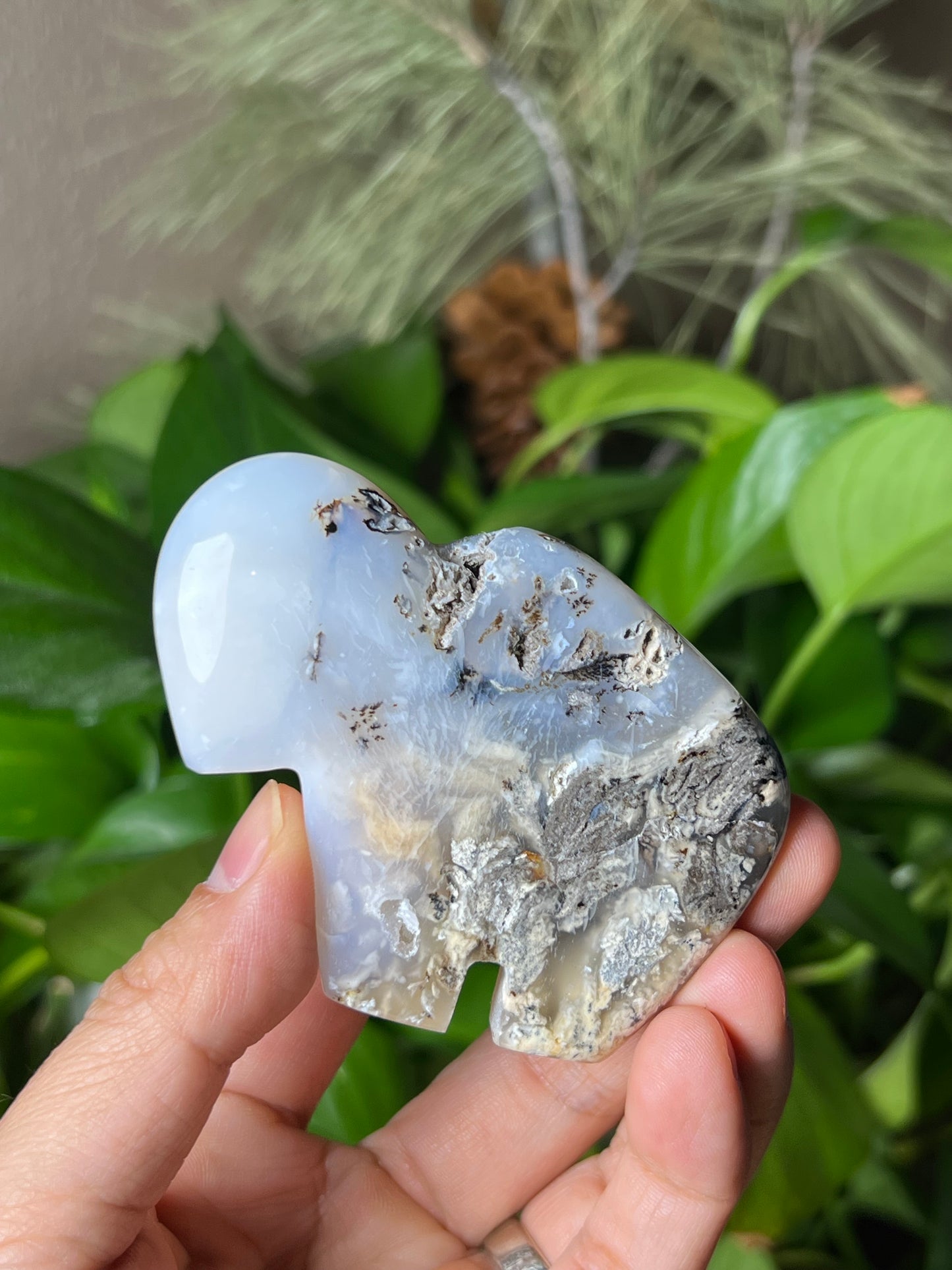 Dendritic Tiger Buffalo