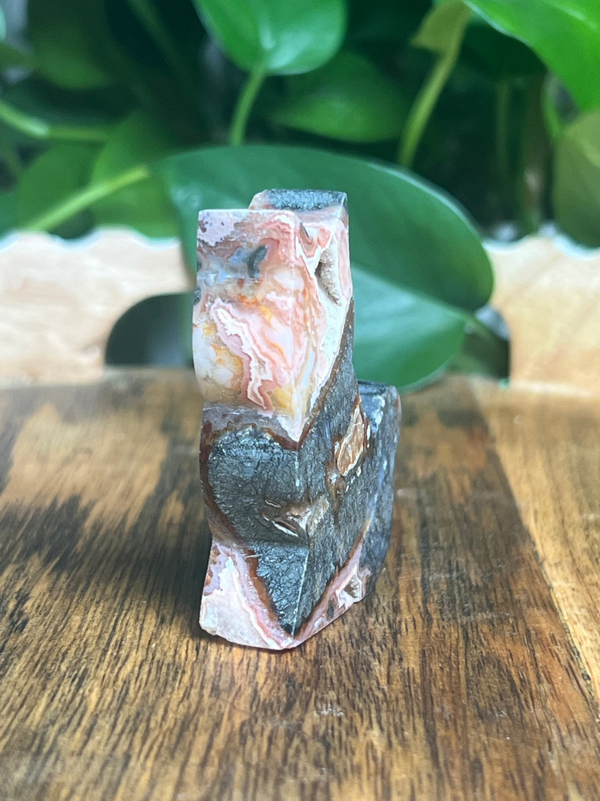 Marcasite Mini Cat: Xi