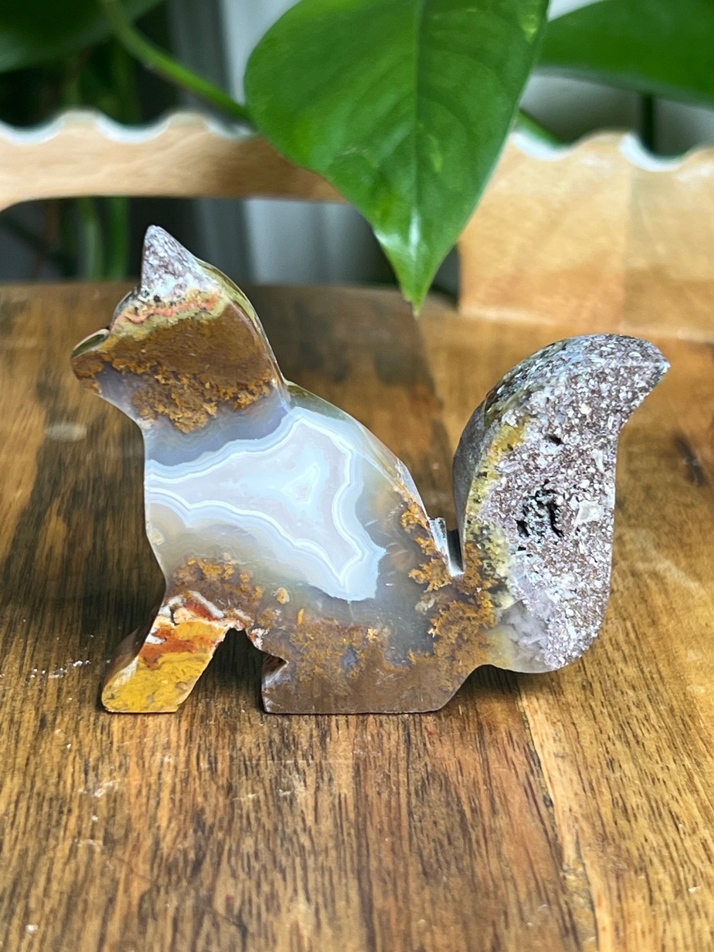 Scenic Moss Agate Fox PL