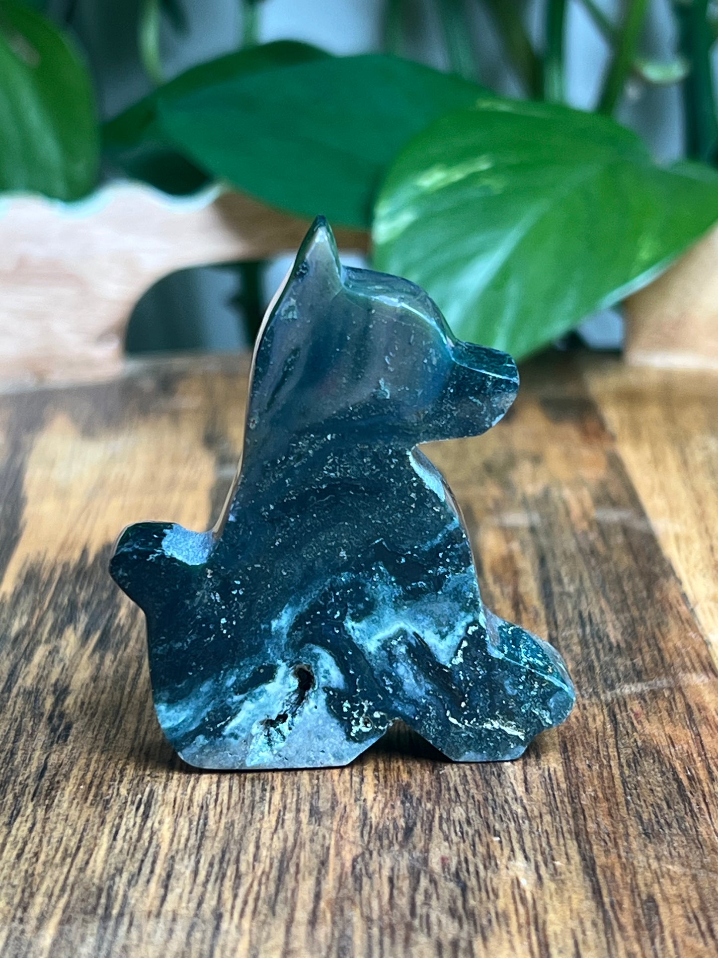 Blue Green Jasper Dog: AB