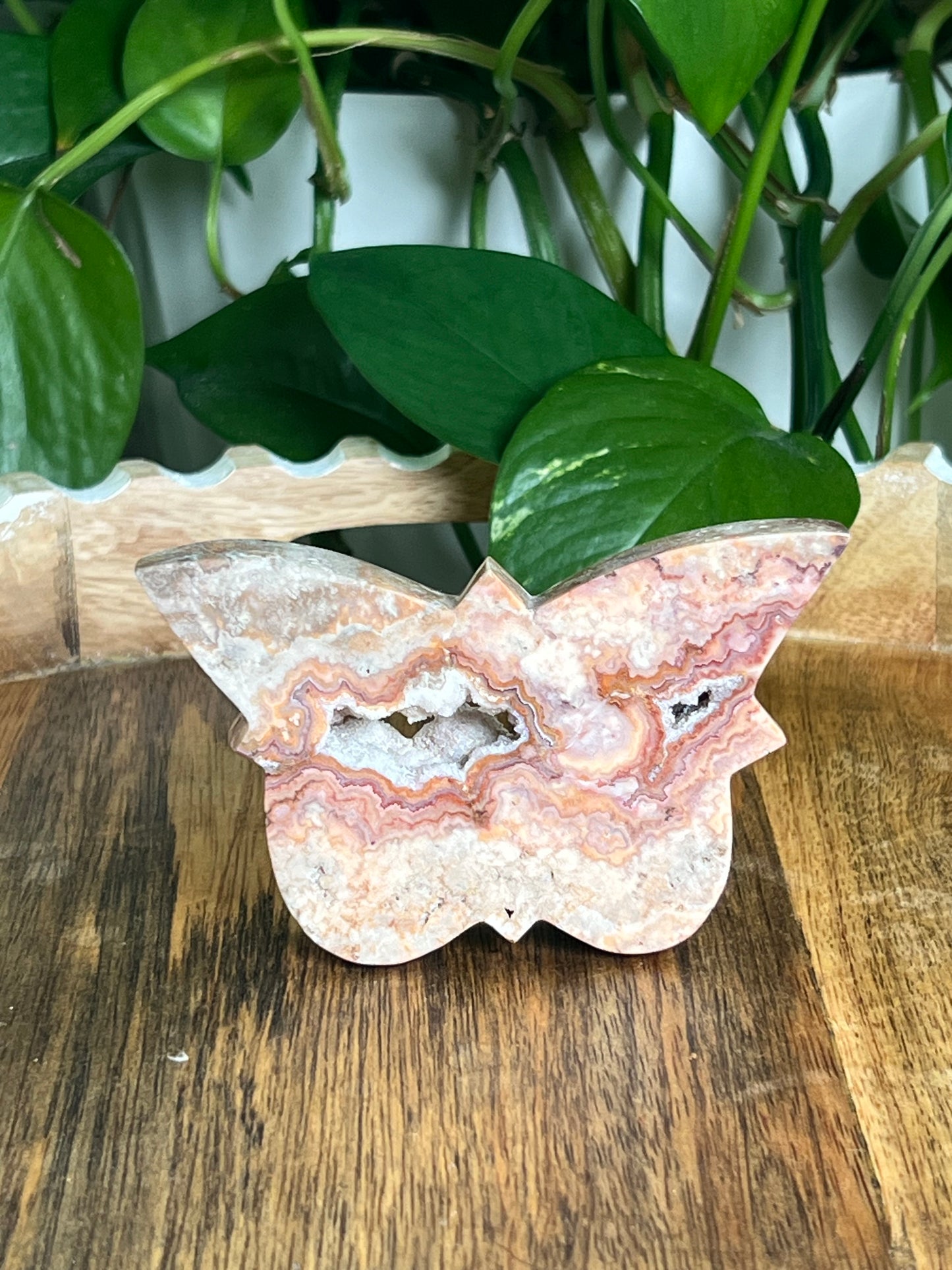 Crazy Lace Agate Butterfly: A